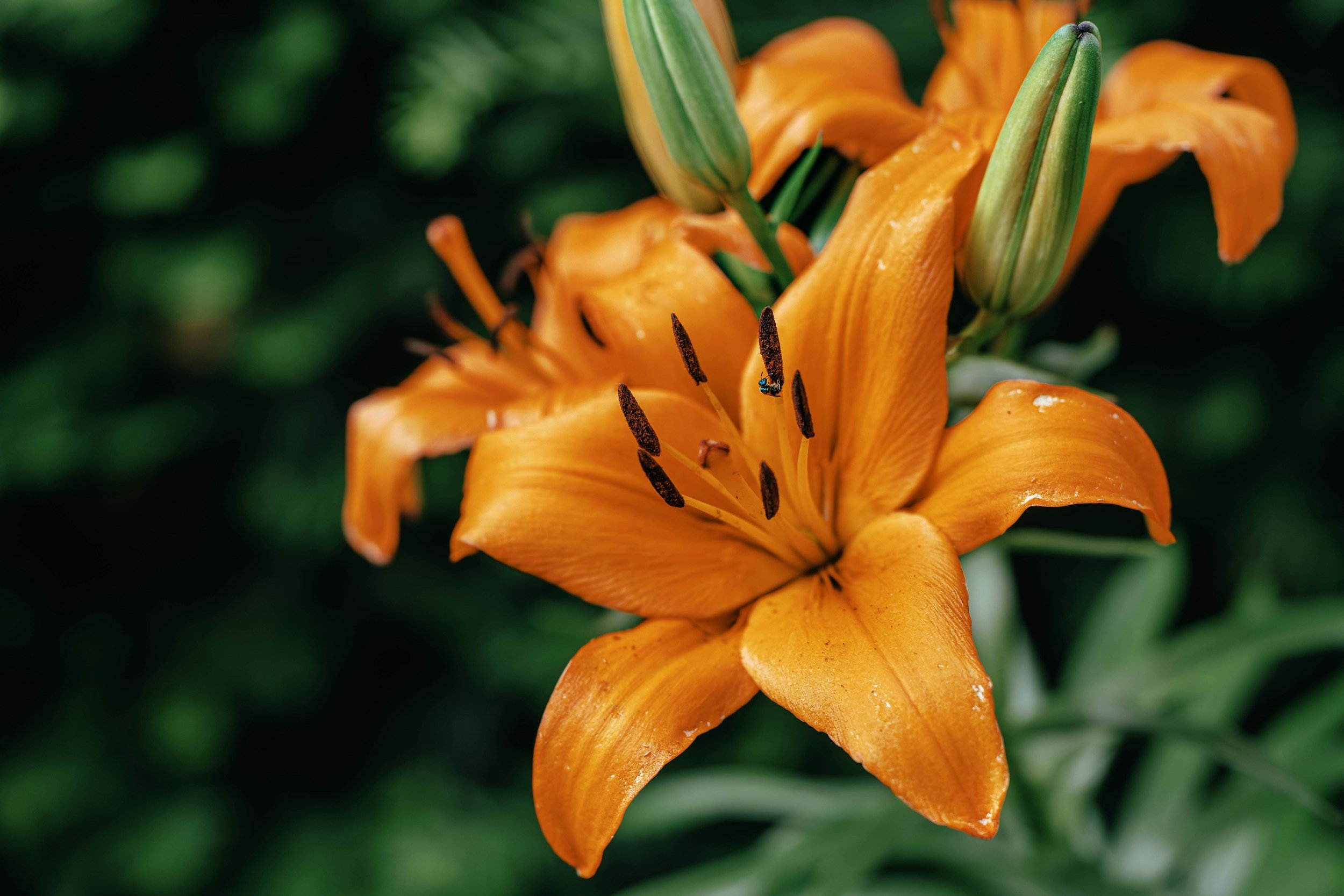 unsplash-image-XP43-dKBU44.jpg