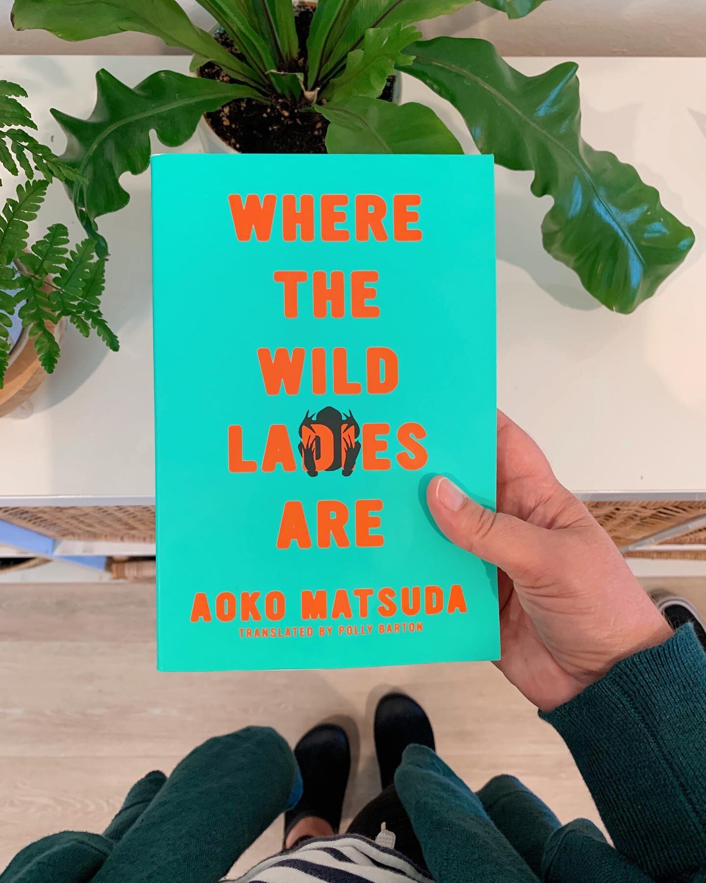 ✨ Where the Wild Ladies Are by Aoko Matsuda ✨

Finished this fascinating book of short stories in preparation for the Fiction Matters book club tomorrow and really enjoyed it! The linked stories (the connections become clear a few stories in) are fem