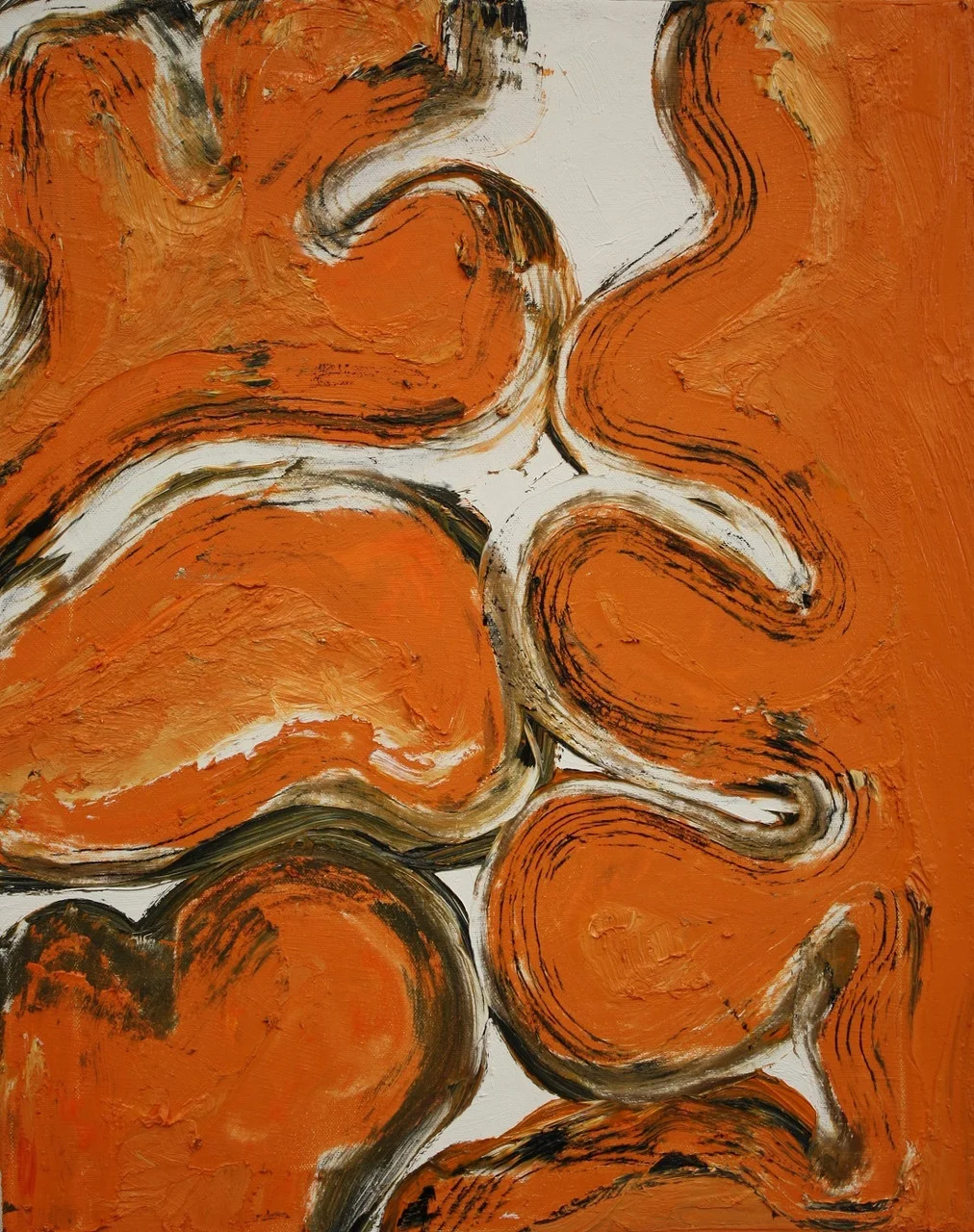 Cerebellum