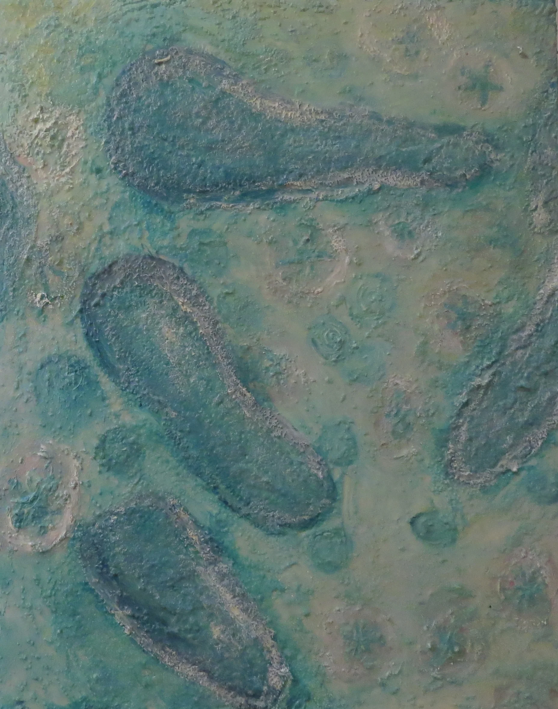 Cross-section of flagella
