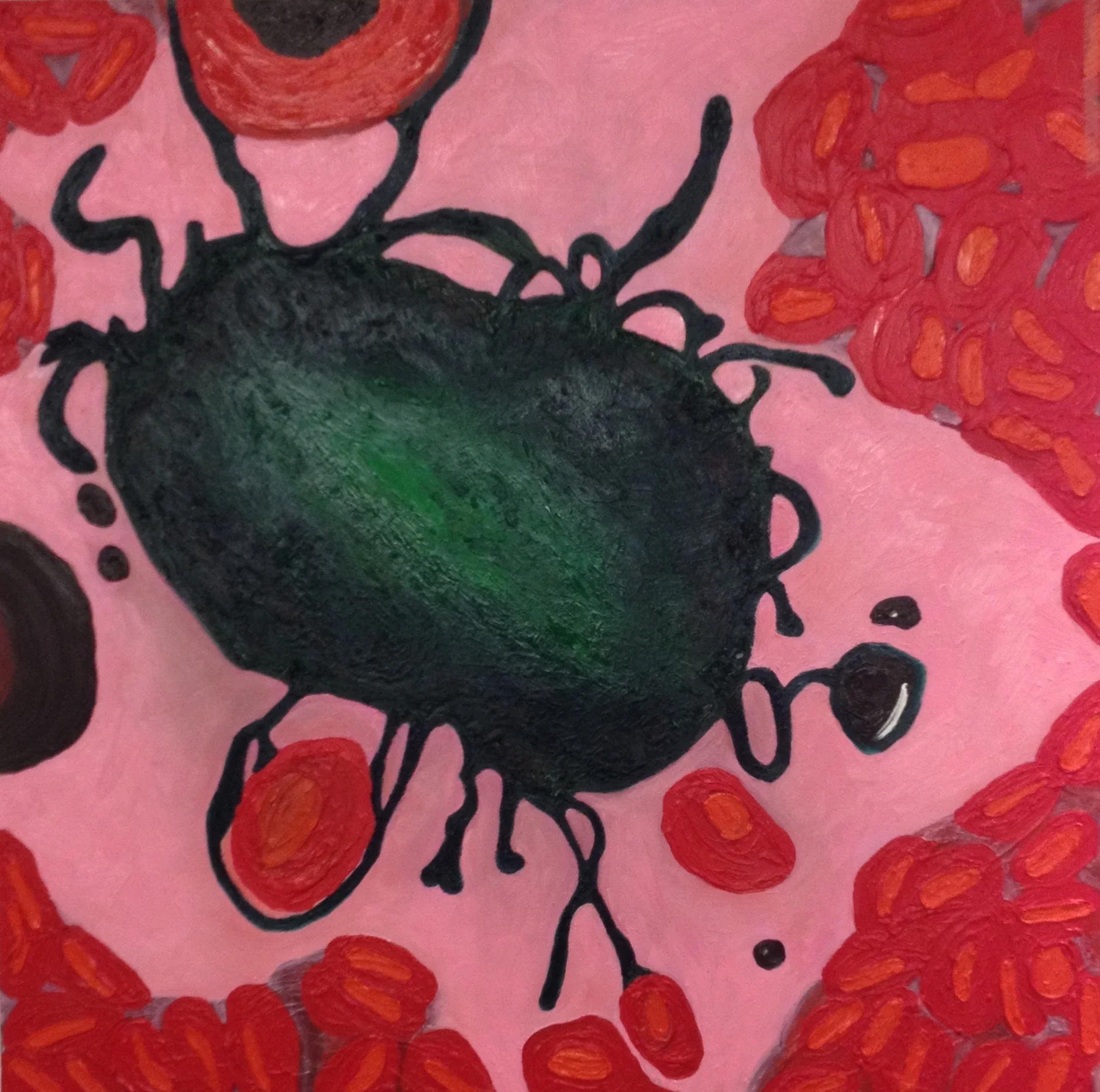 Macrophage