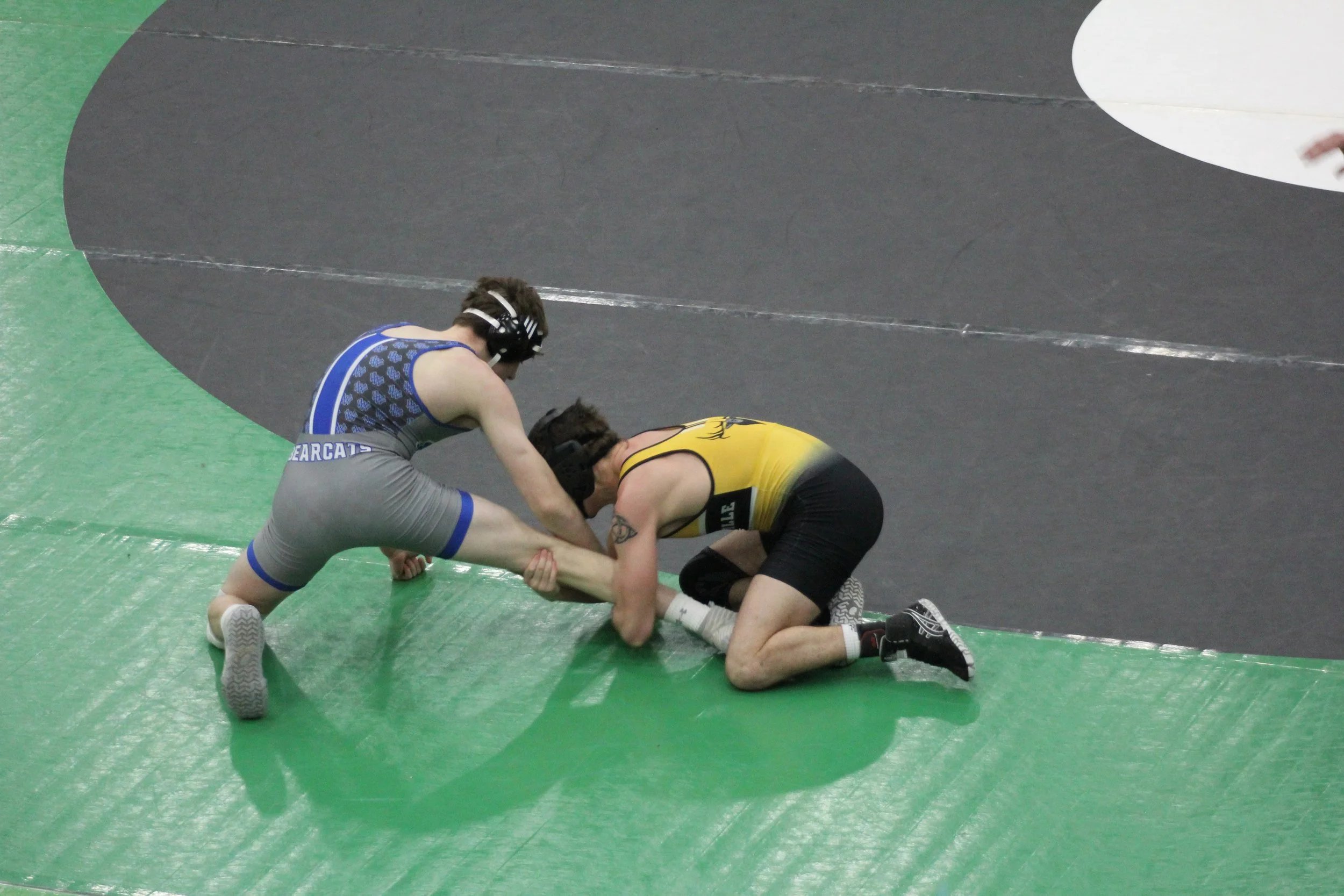 144walther r3 (20).JPG