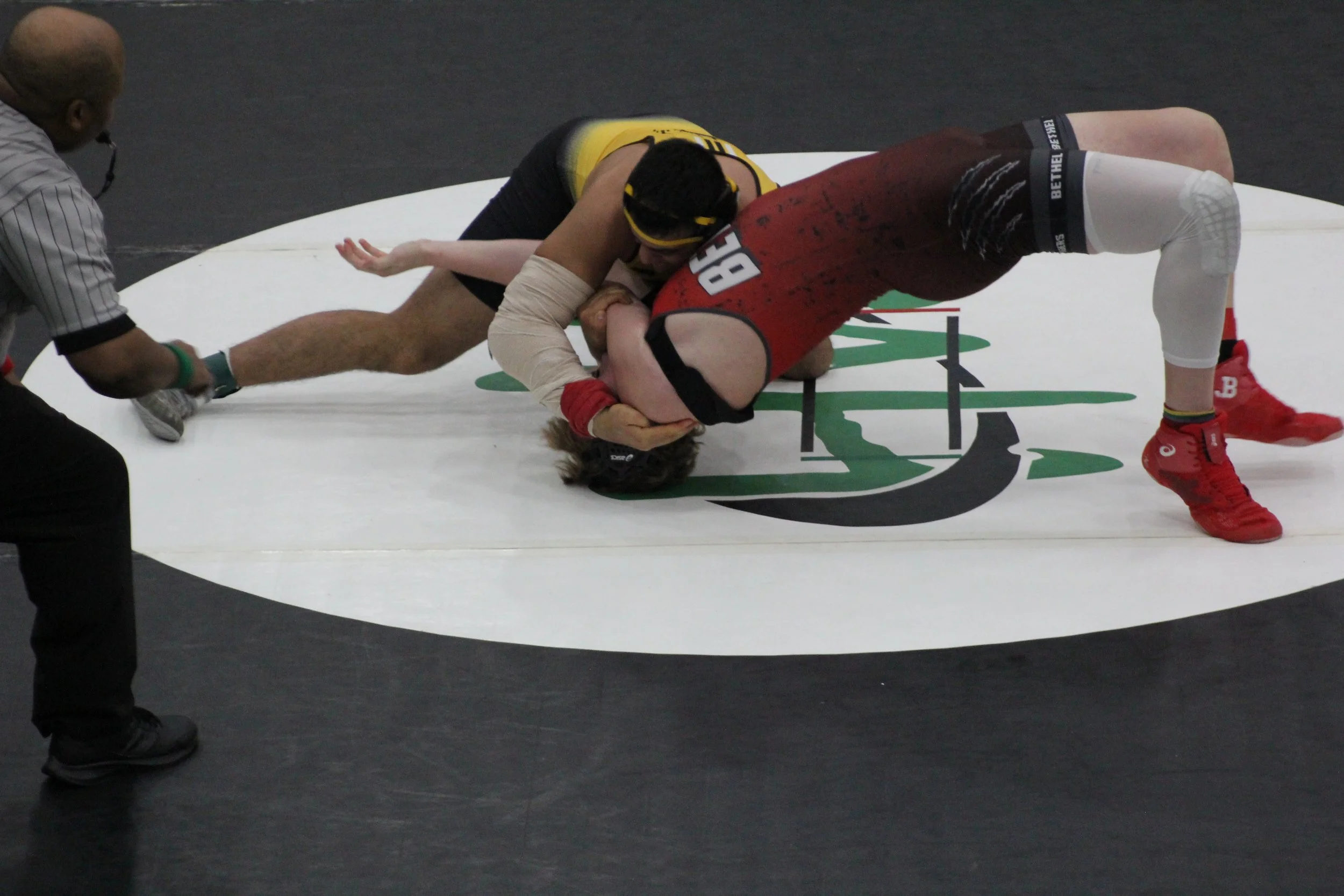 215Akbary r3 (8).JPG