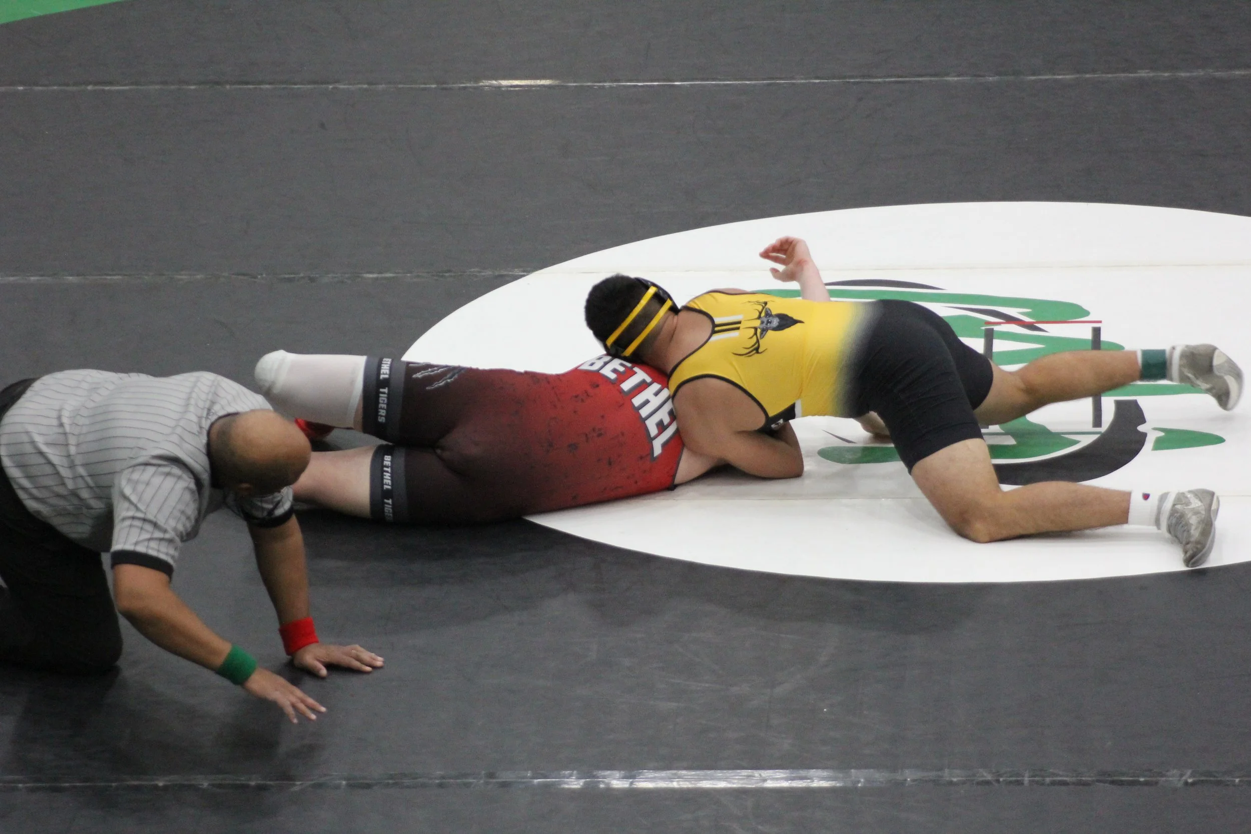 215Akbary r3 (10).JPG