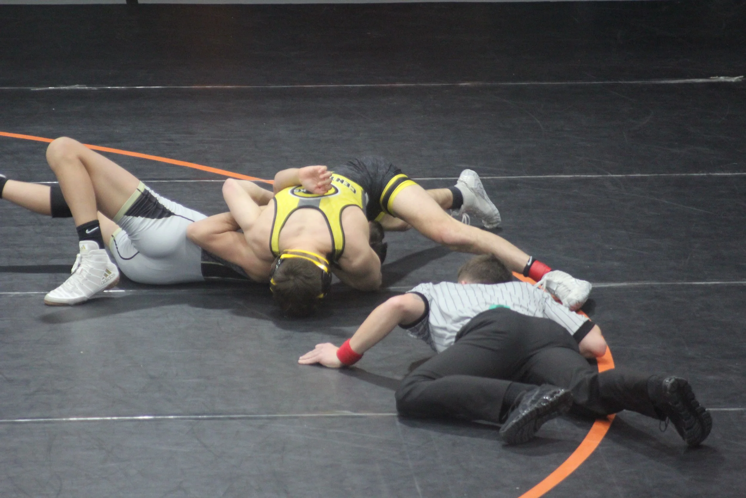 126Acuna vs Perrysburg (3).JPG