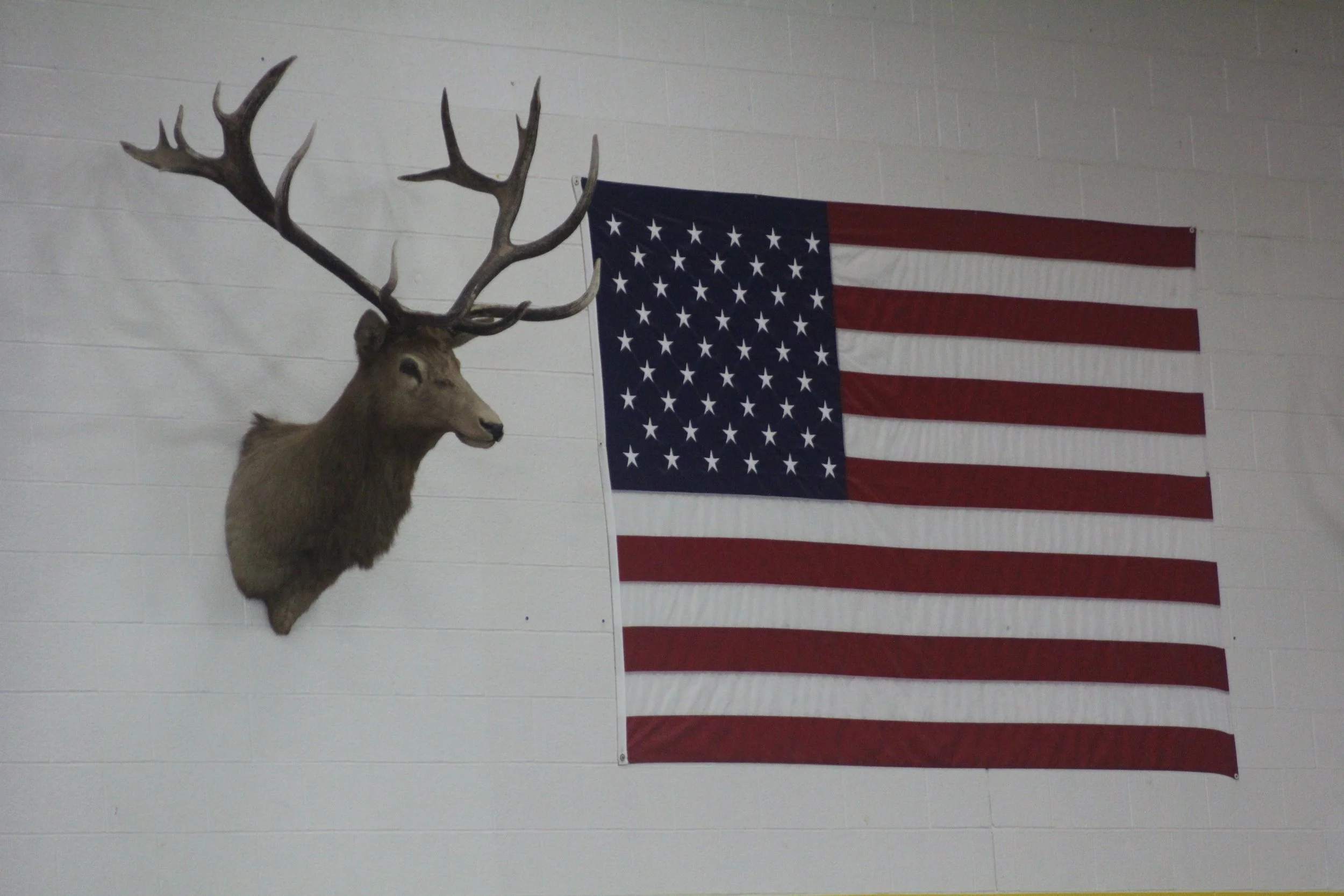 TeamElks (2).JPG