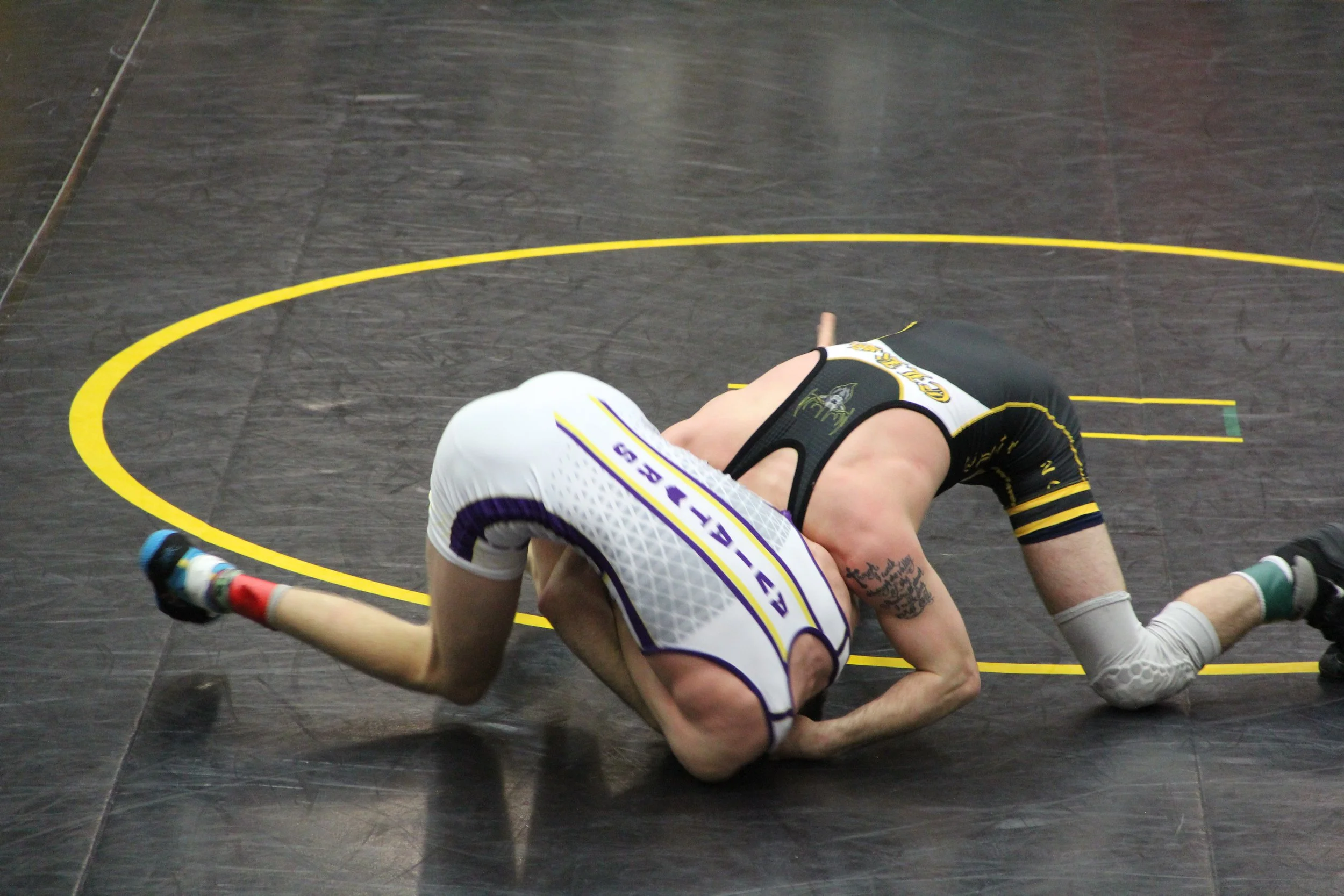 120Ryan sectionals Moreland (7).JPG