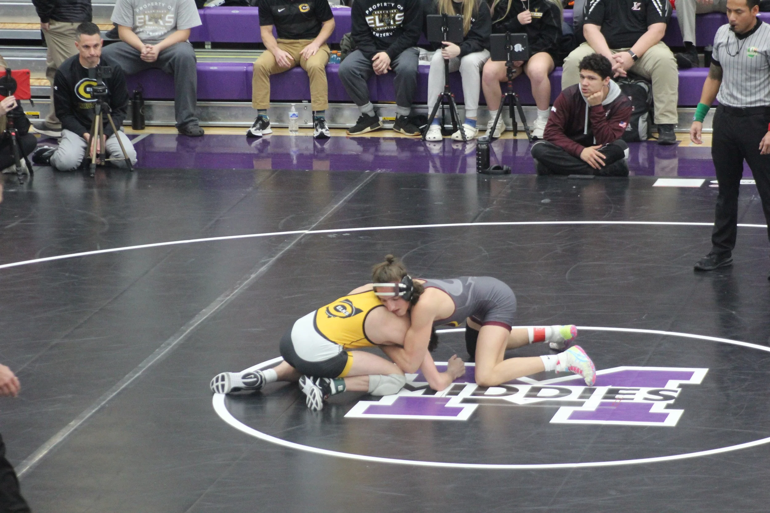 132Stevens vs Greco (2).JPG