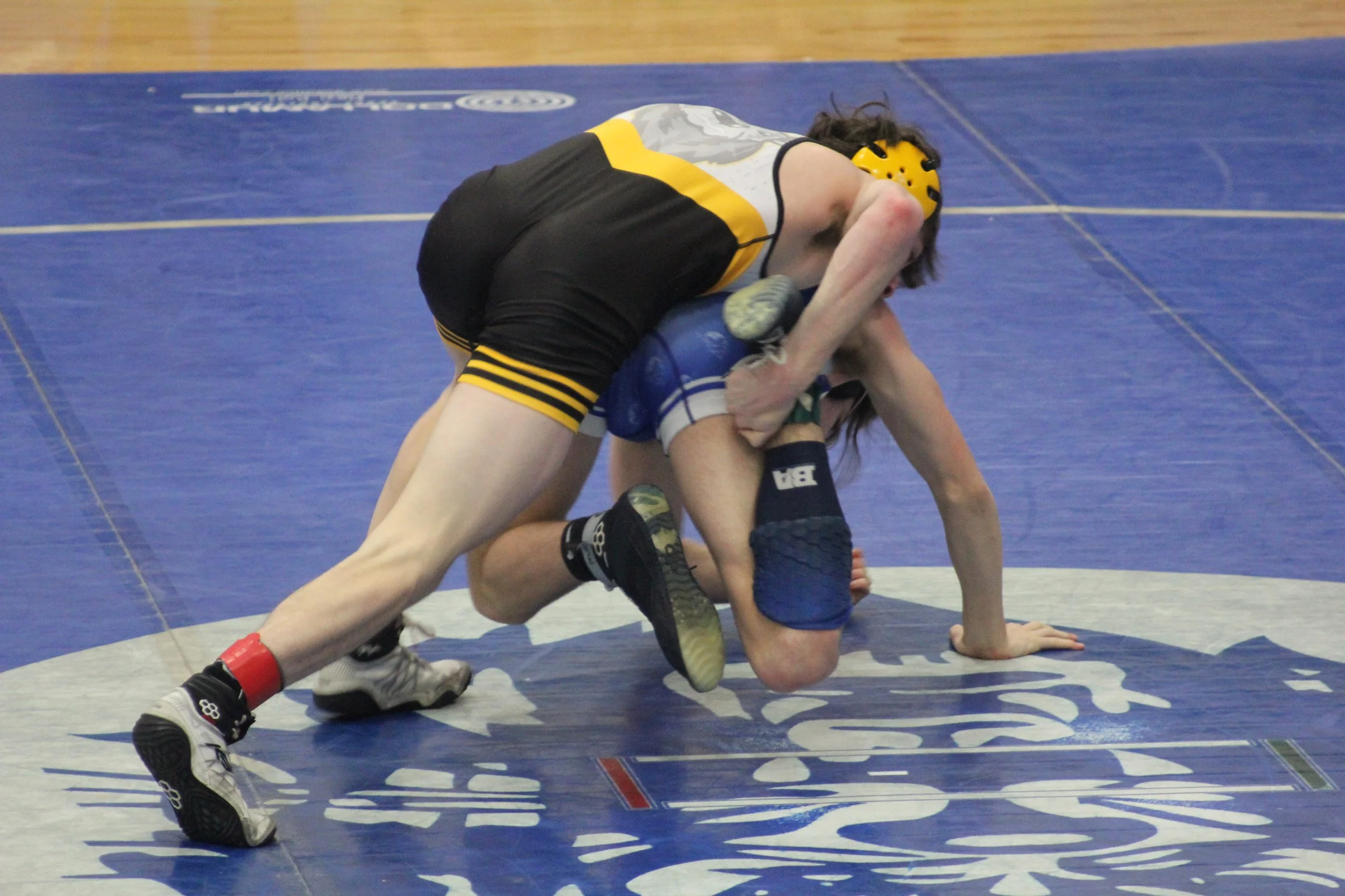 138Northcutt (2).JPG