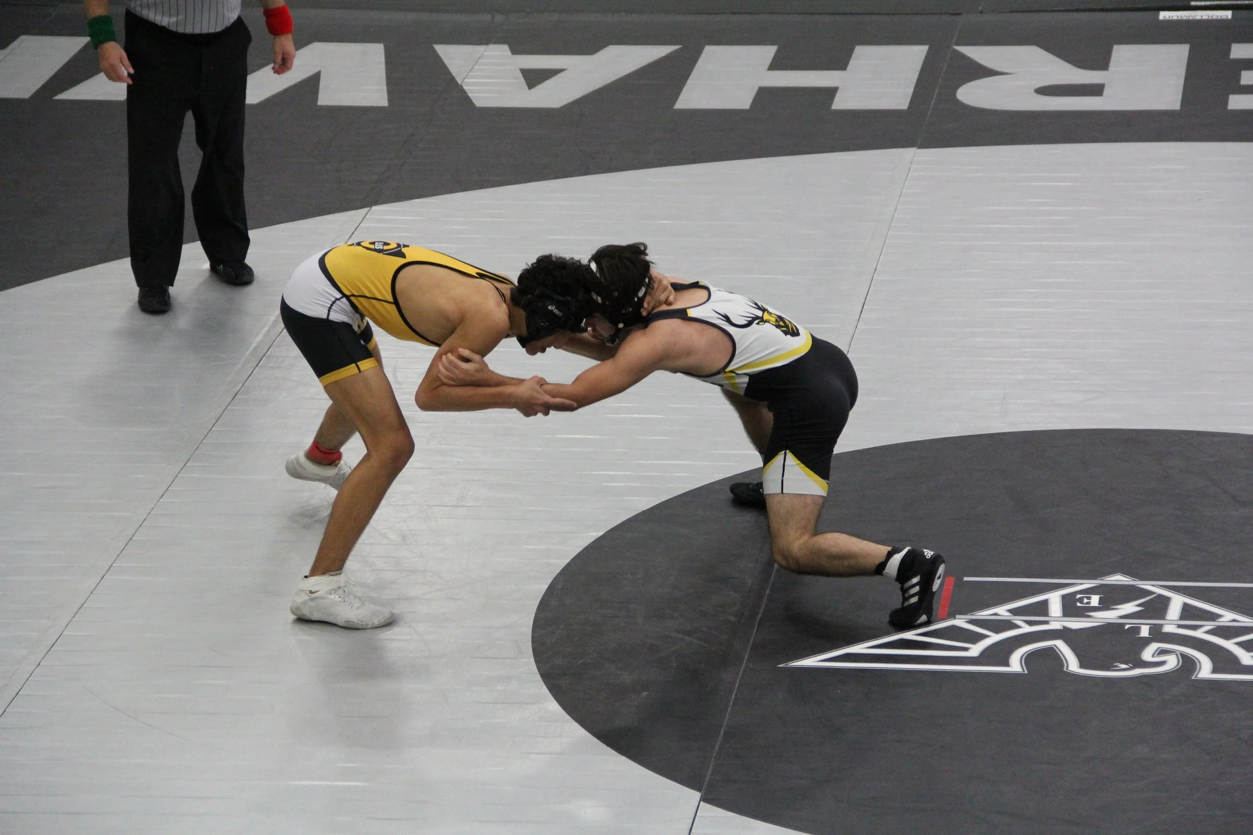 120Iskander v Howard (1).JPG
