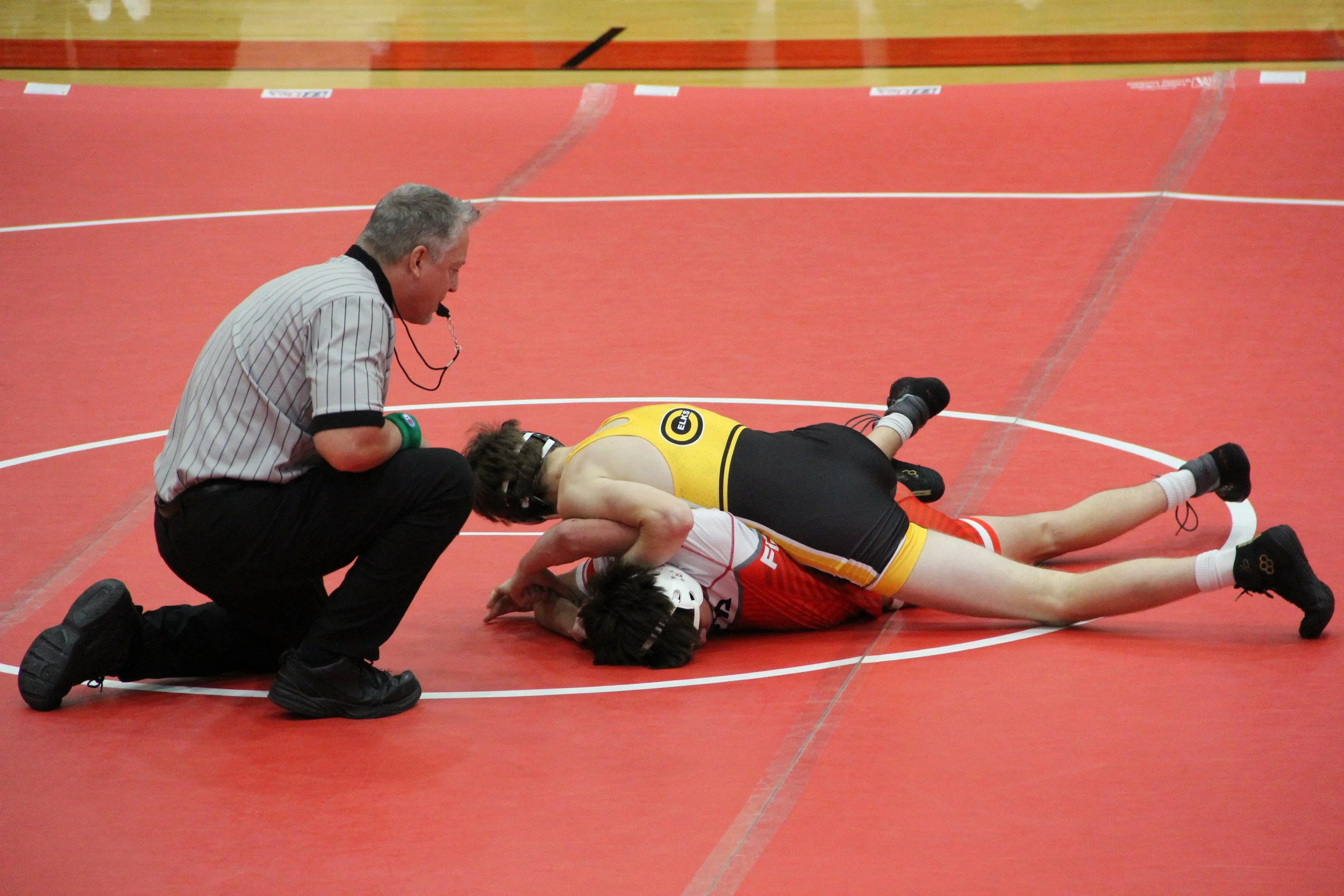 a) waller132 (5).JPG