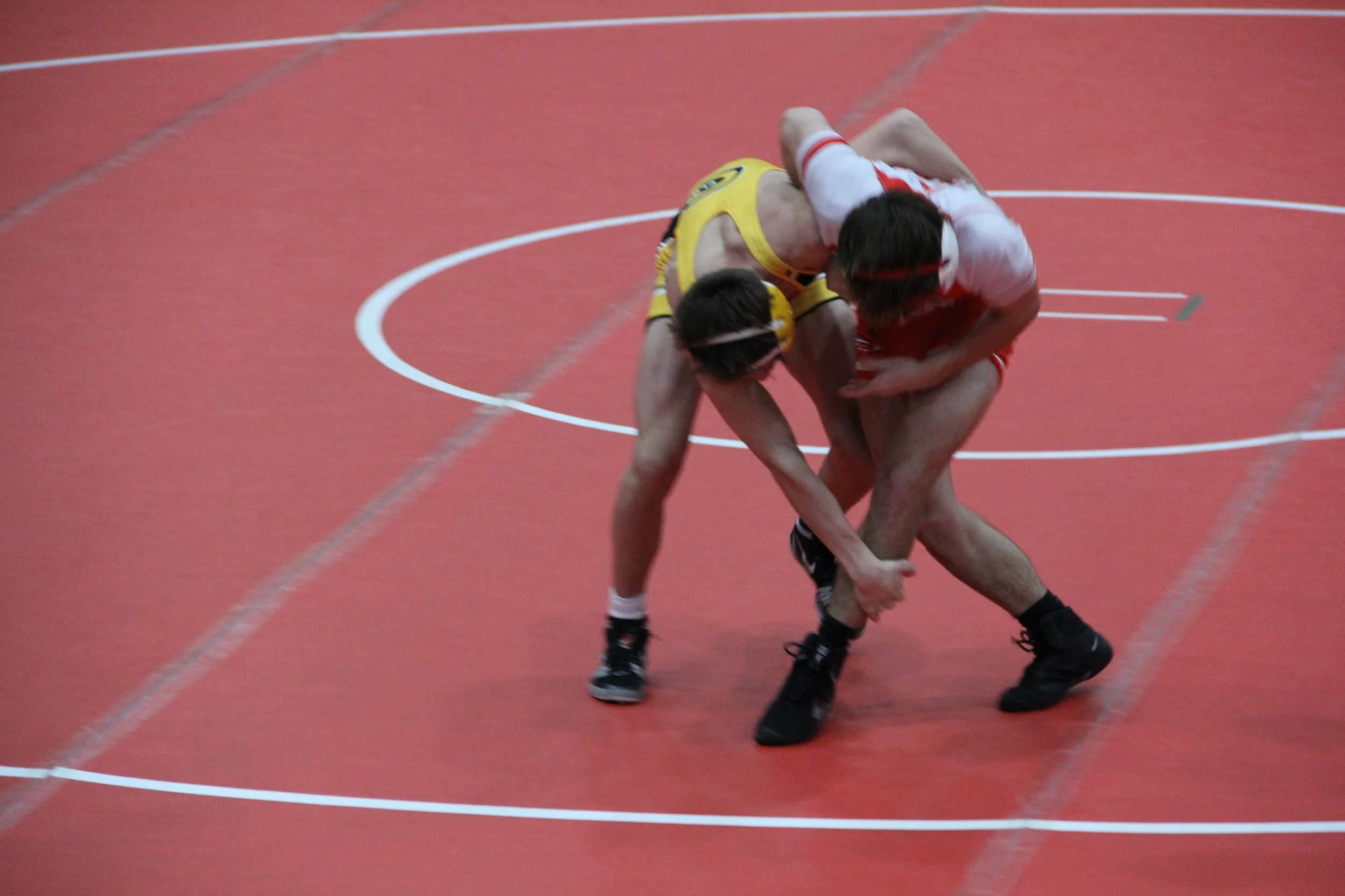 b) mauro138 (4).JPG