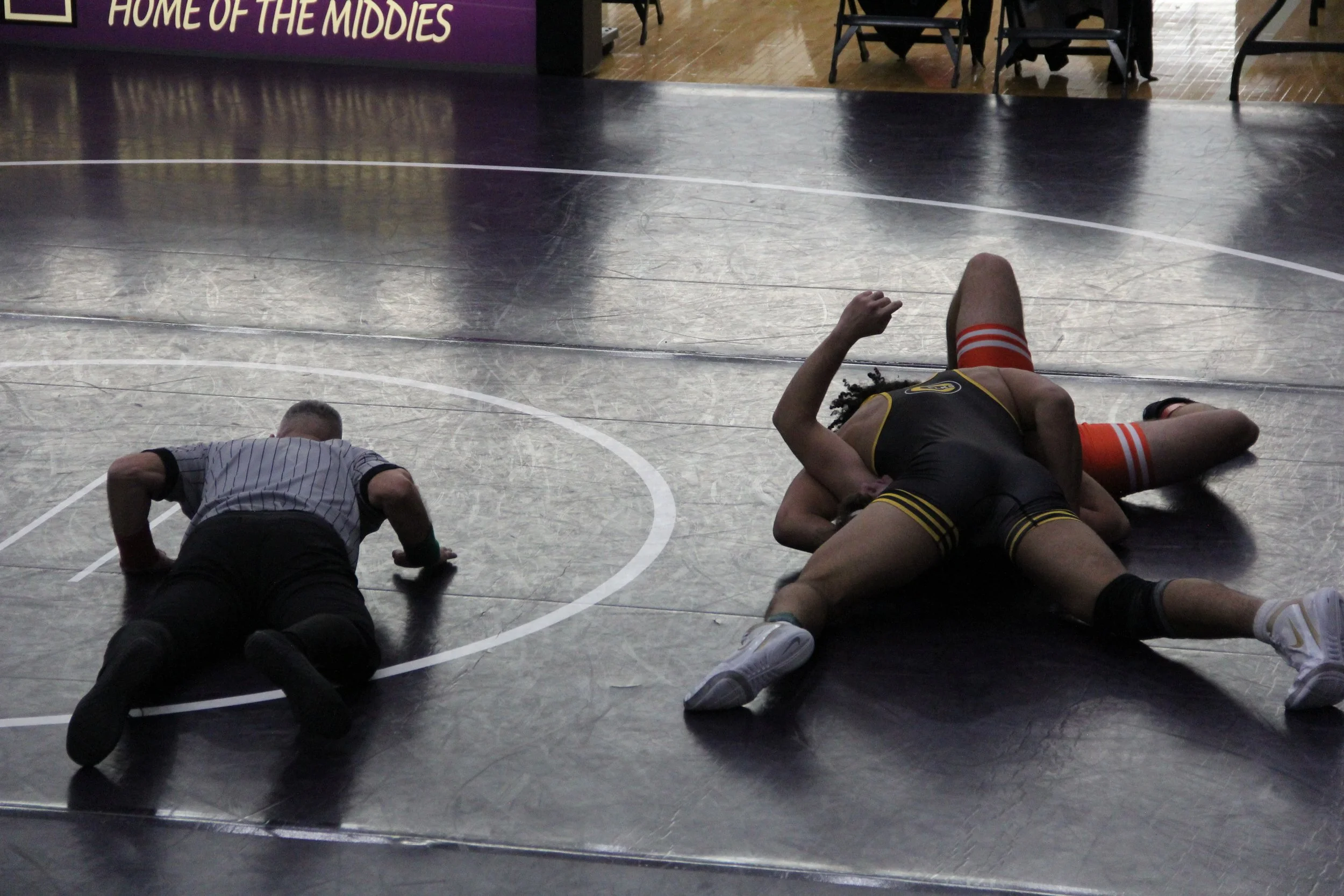 anderson 190 (4).JPG