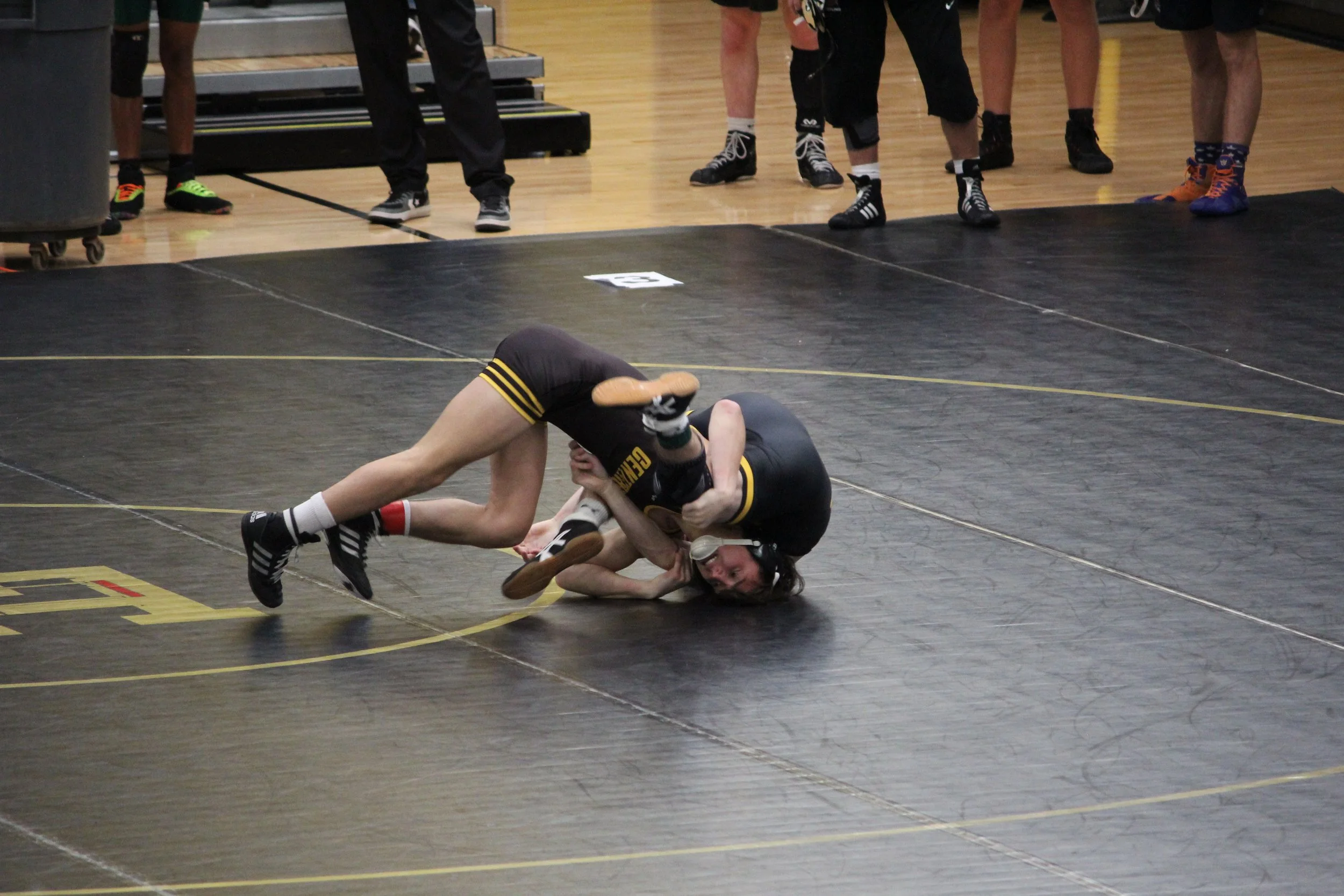 winfield 120 (3).JPG