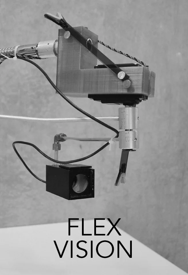 FlexVisionThumb.jpg