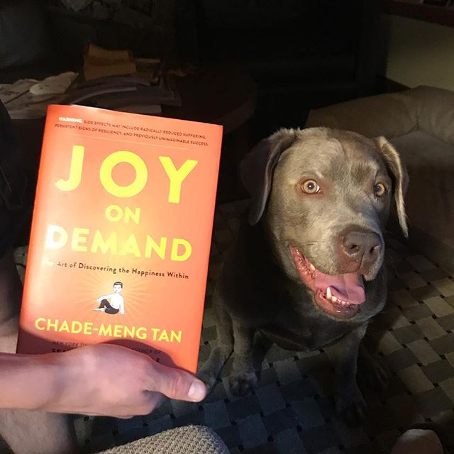 Reading from &quot;Joy on Demand this eve, looking at my sweet Silver Lab, Sadie, when I read this line ....&quot;Don't stop.  Don't strain'.&quot; I laughed, felt joy, and realized that is Sadie's mantra. I think I will adopt it for my own mind .  V
