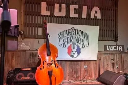 Shakedown Strings - in Lawrence, KS