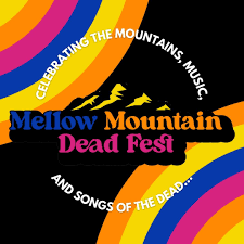 Shakedown Strings - in Ellijay, Georgia