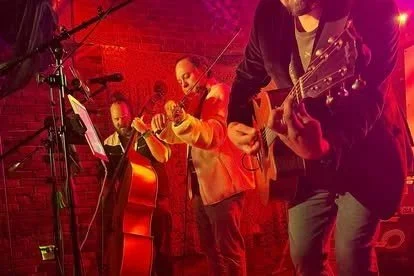 Shakedown Strings - in Greenville, South Carolina