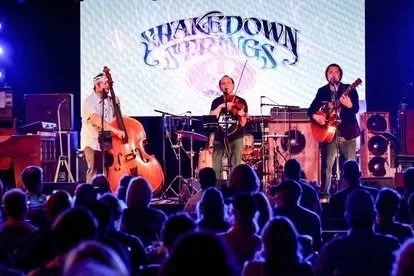 Shakedown Strings - at Boulevard Brewery