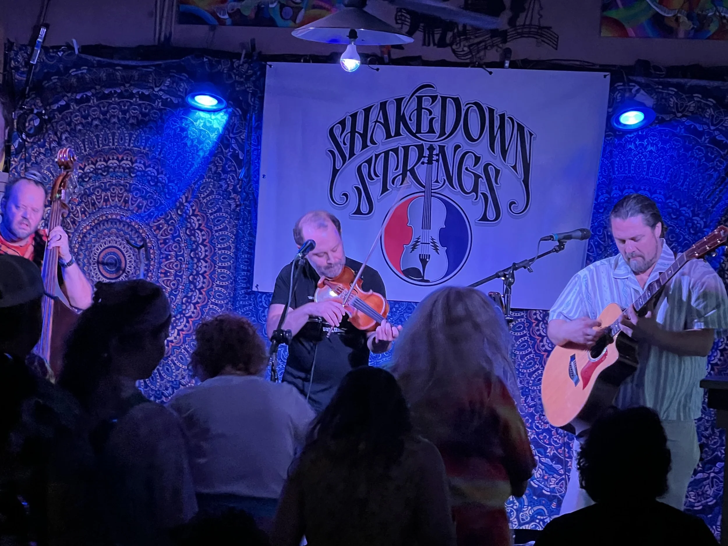 Shakedown Strings - in Denver, Colorado