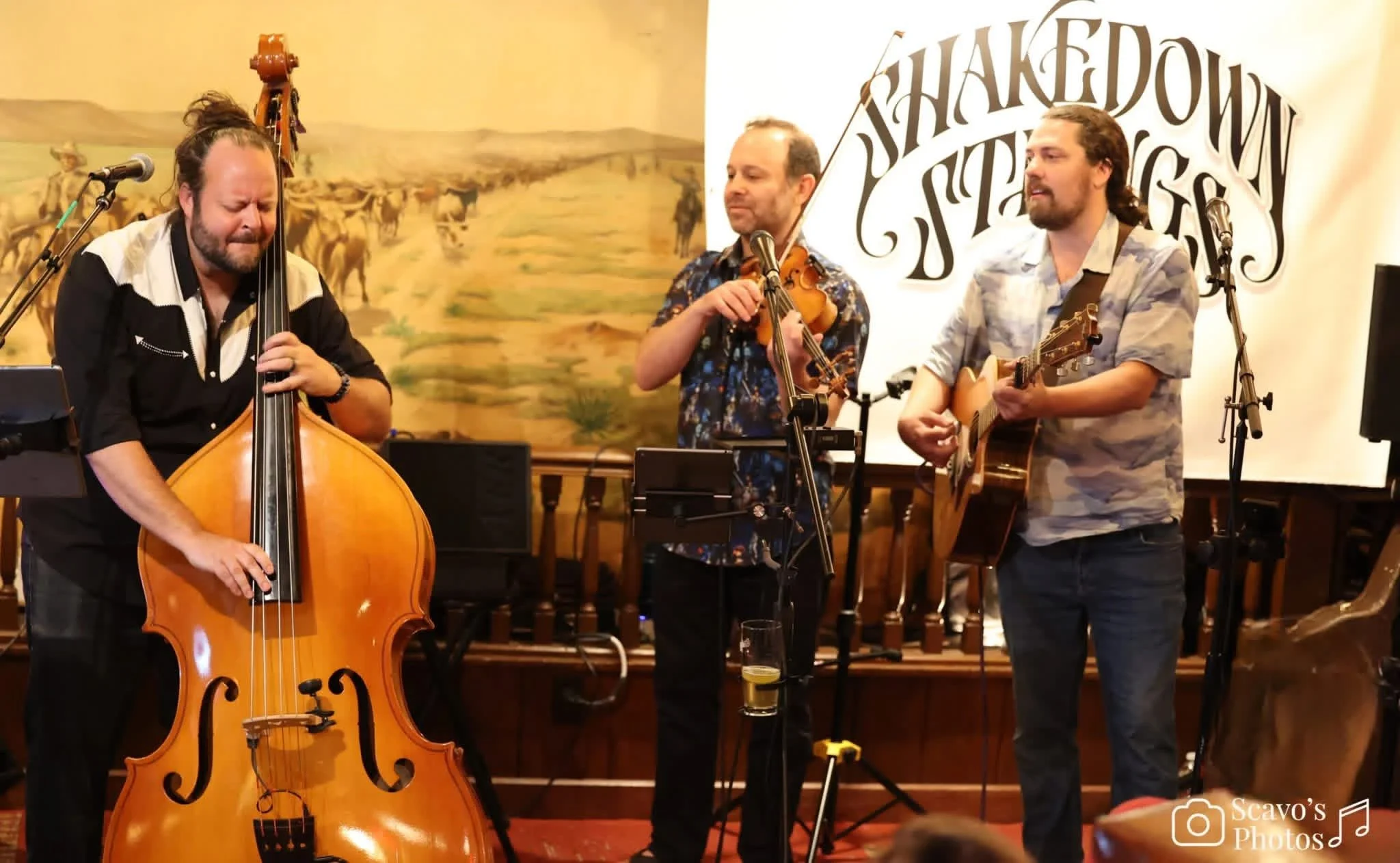 Shakedown Strings - at Stockyards