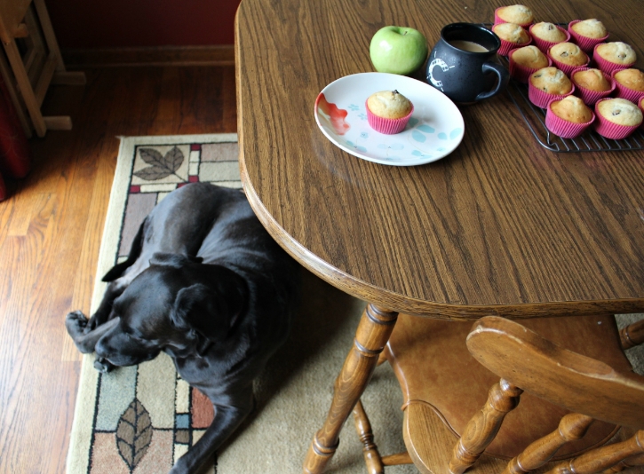 Behind the scenes...this sweet girl likes to make it hard for me to take pictures. 