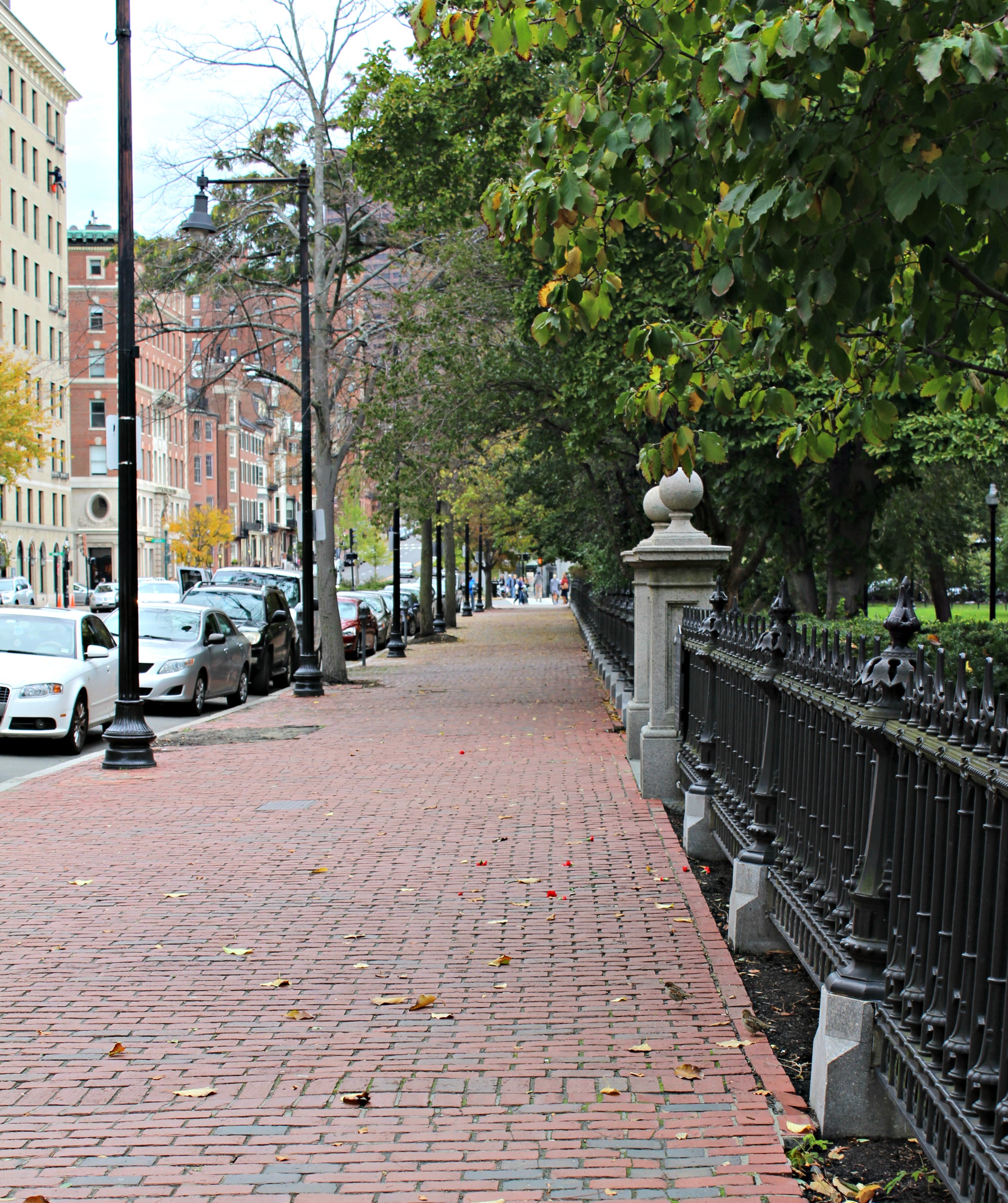 Boston Common 2.0.jpg
