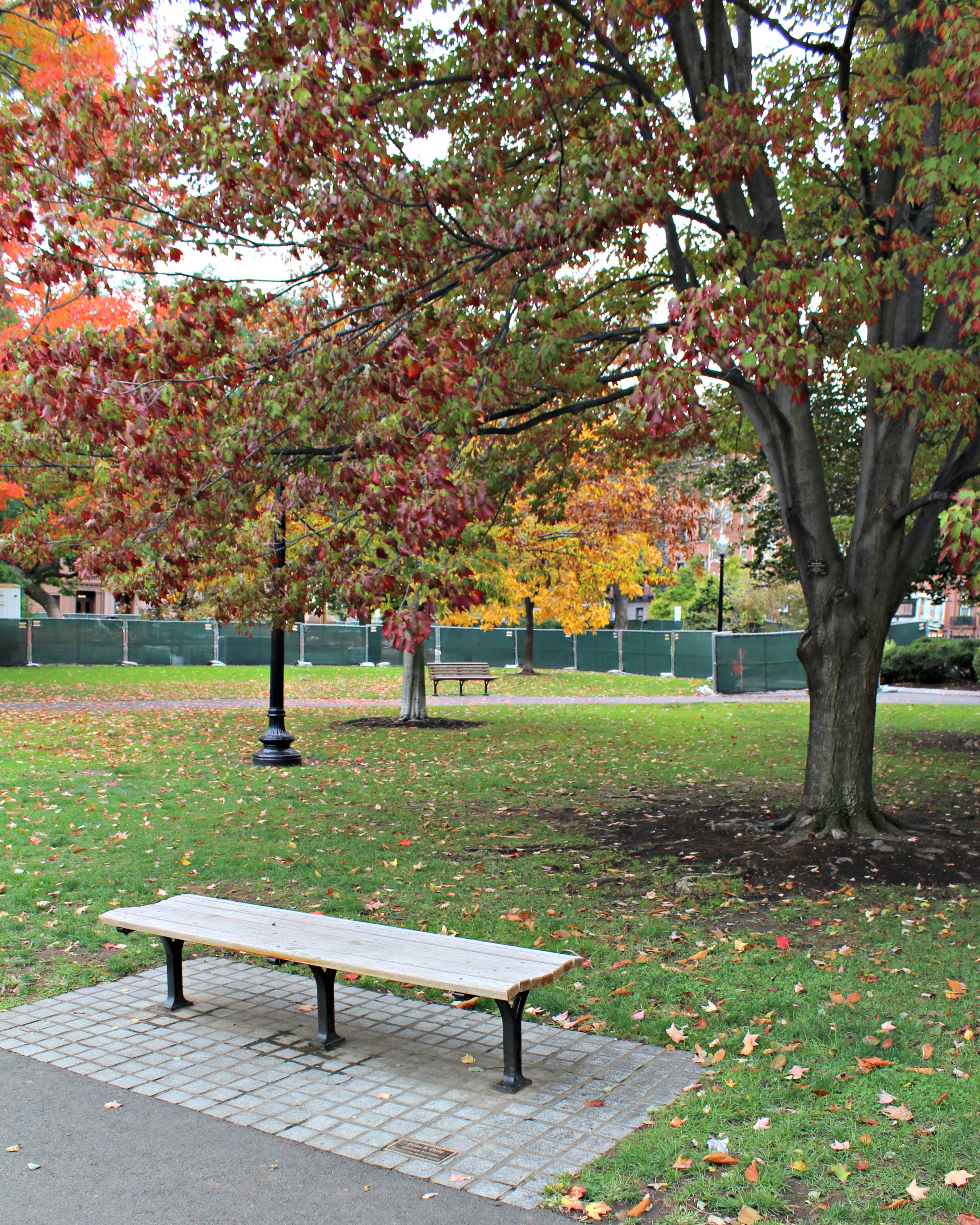 Boston Common 5.0.jpg