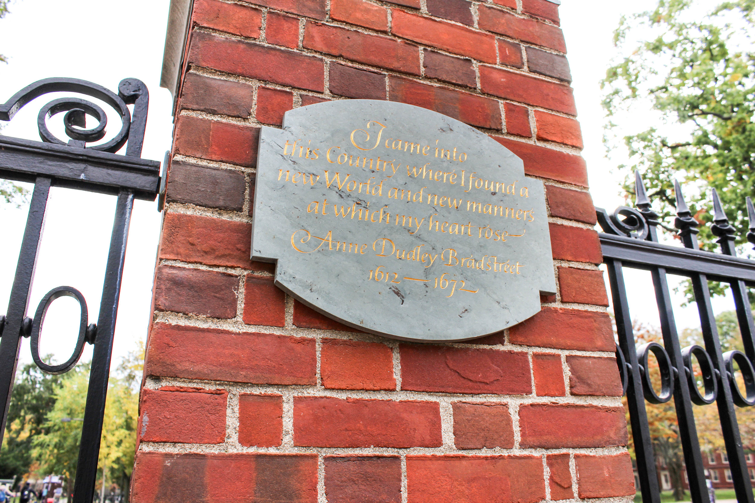 Harvard - Cambridge 1.0.jpg