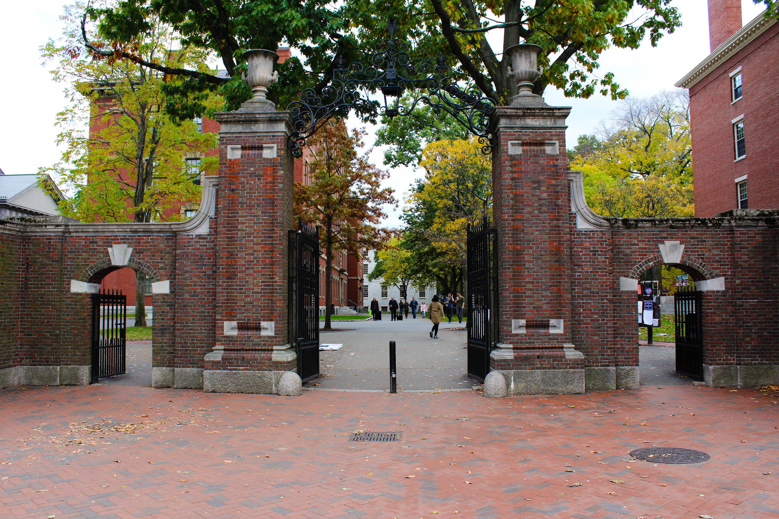 Harvard - Cambridge 3.0.jpg