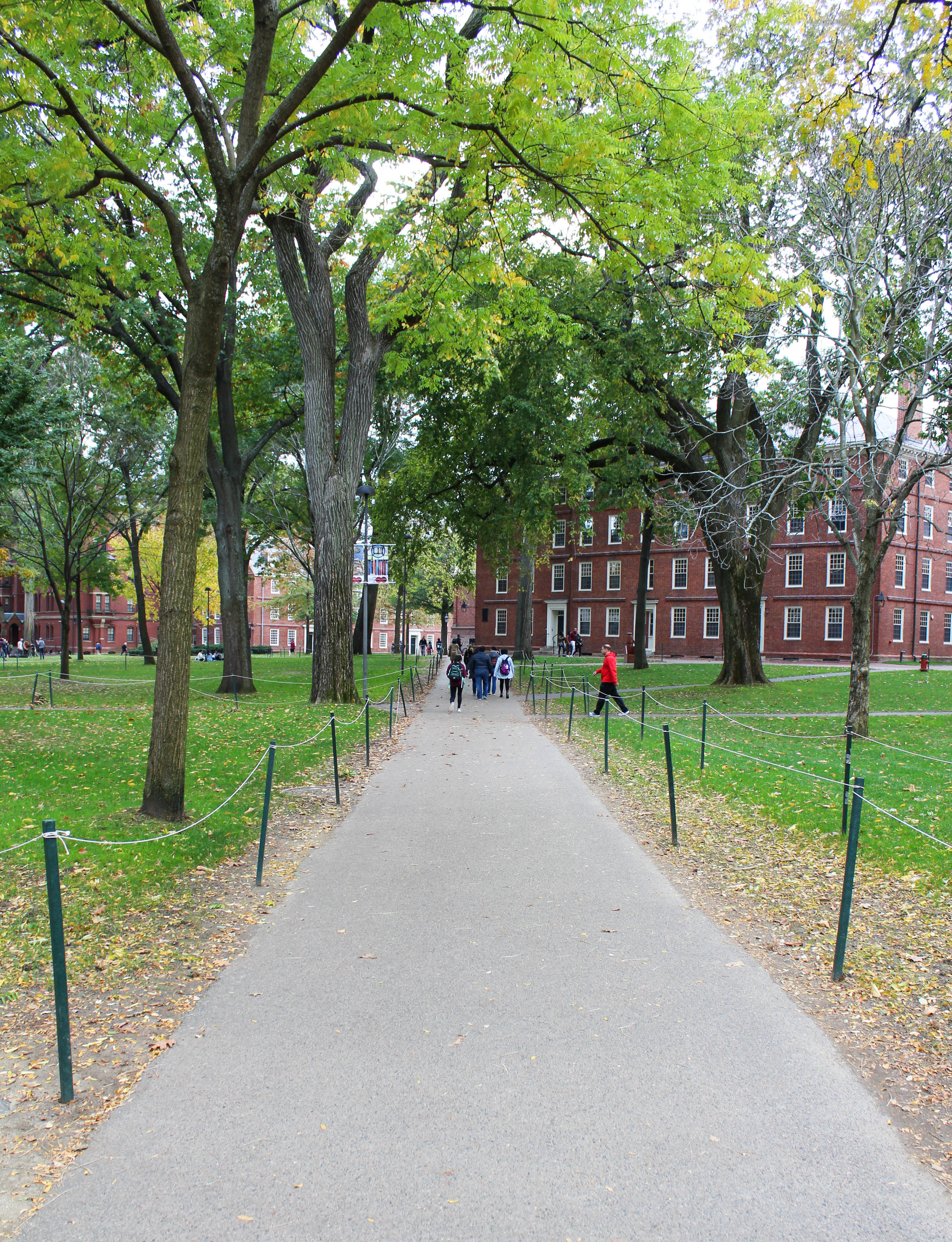 Harvard - Cambridge 5.0.jpg