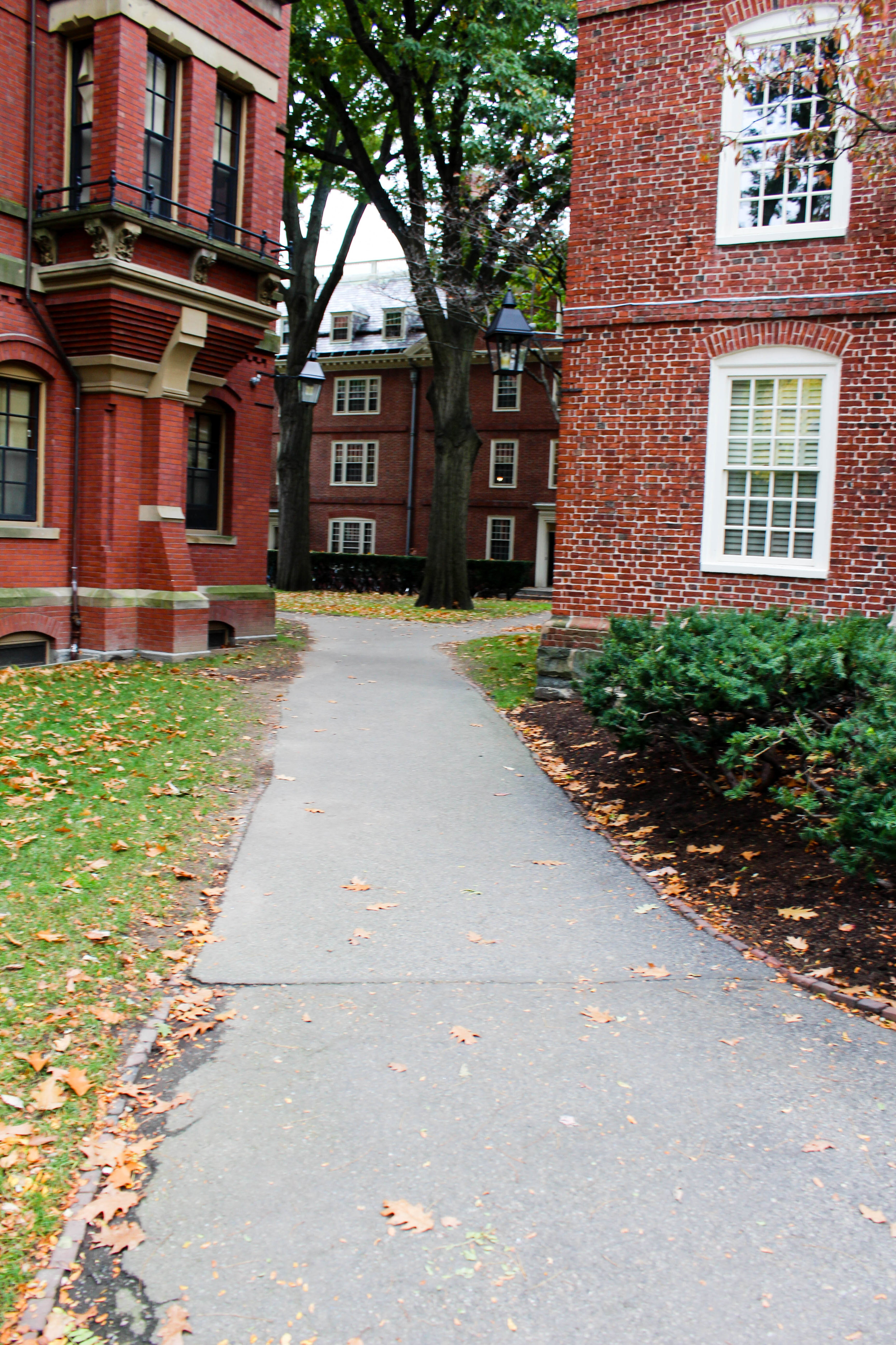 Harvard - Cambridge 8.0.jpg