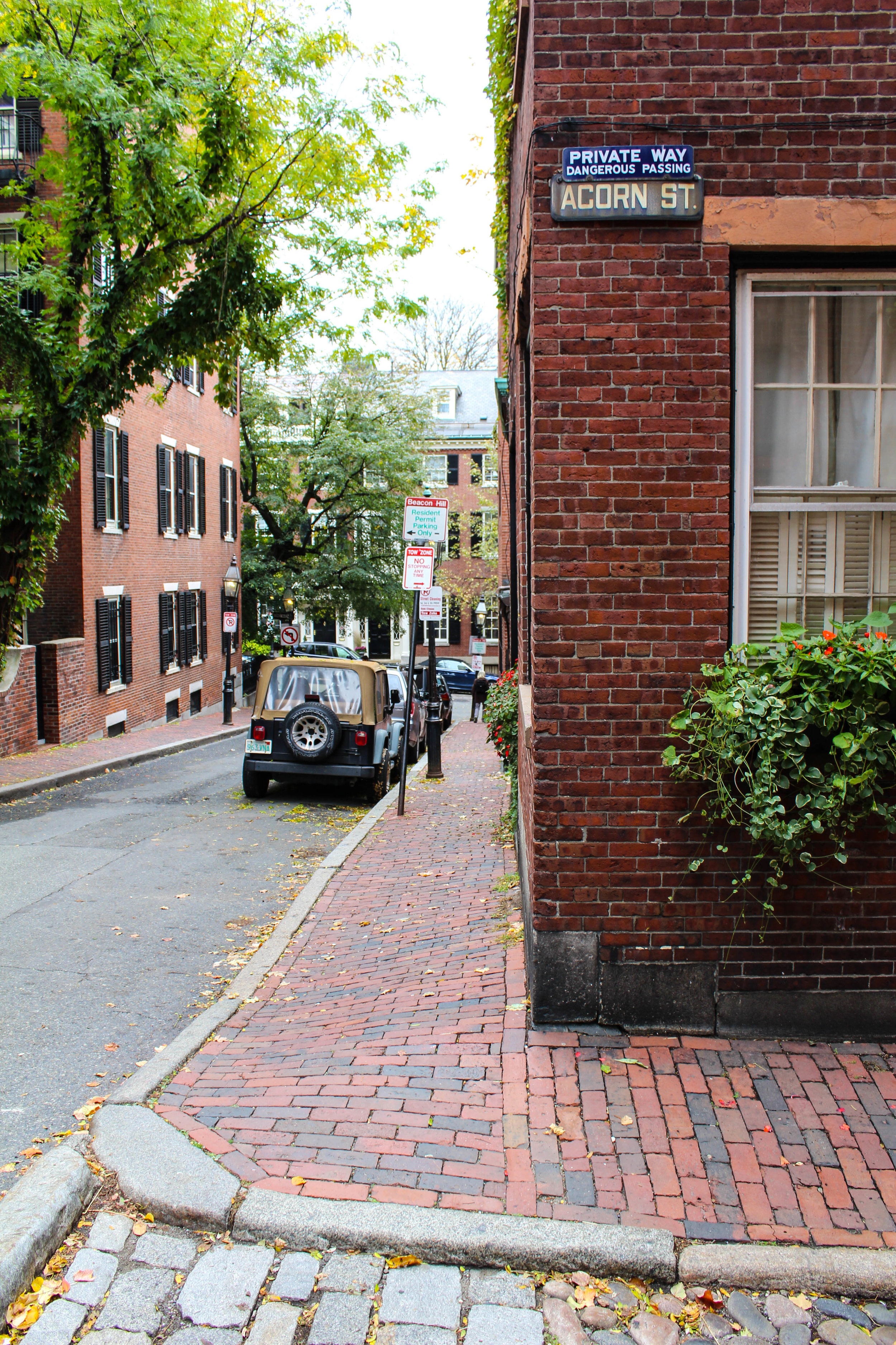 Acorn Street - Boston 3.0.jpg