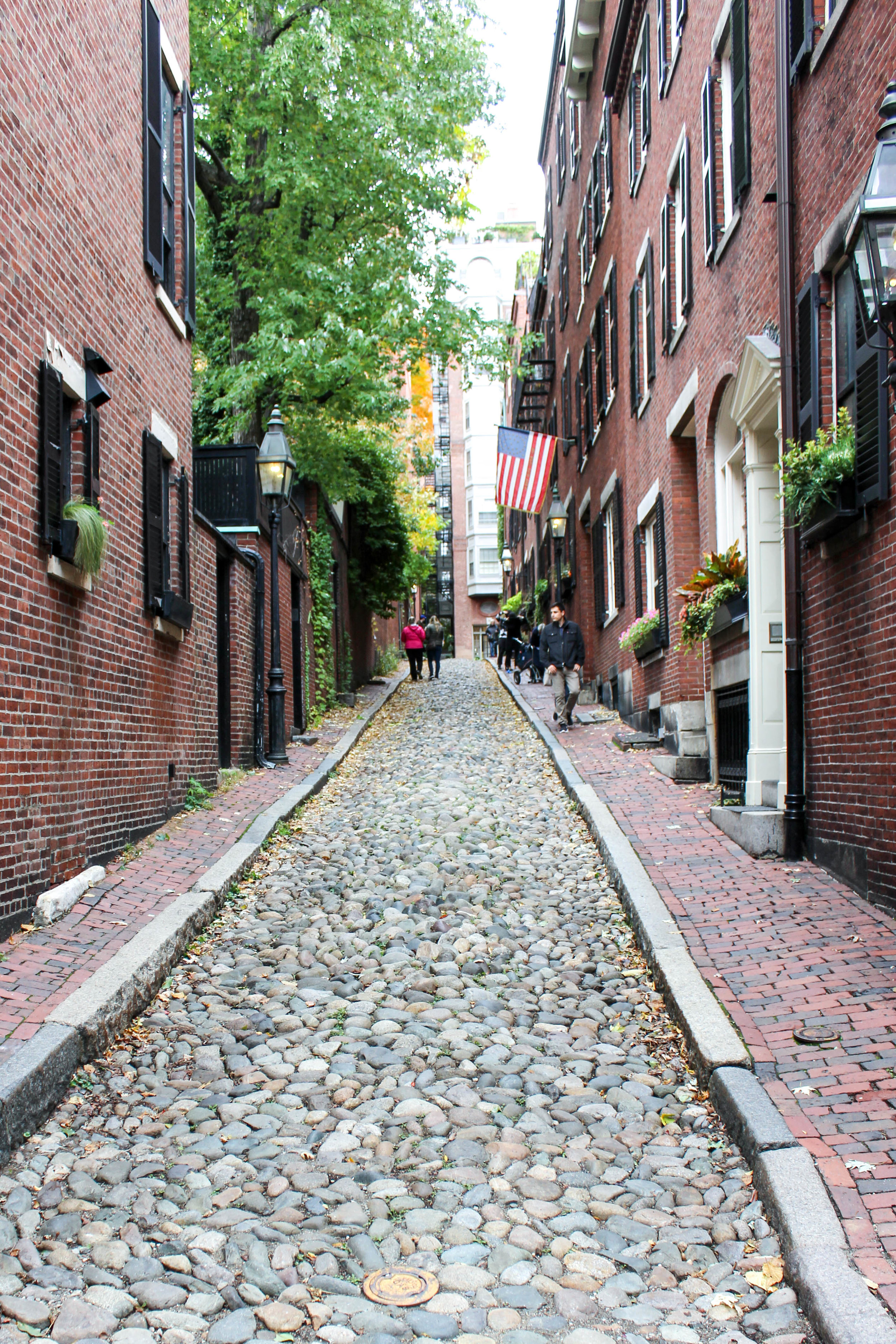 Acorn Street - Boston 4.0.jpg