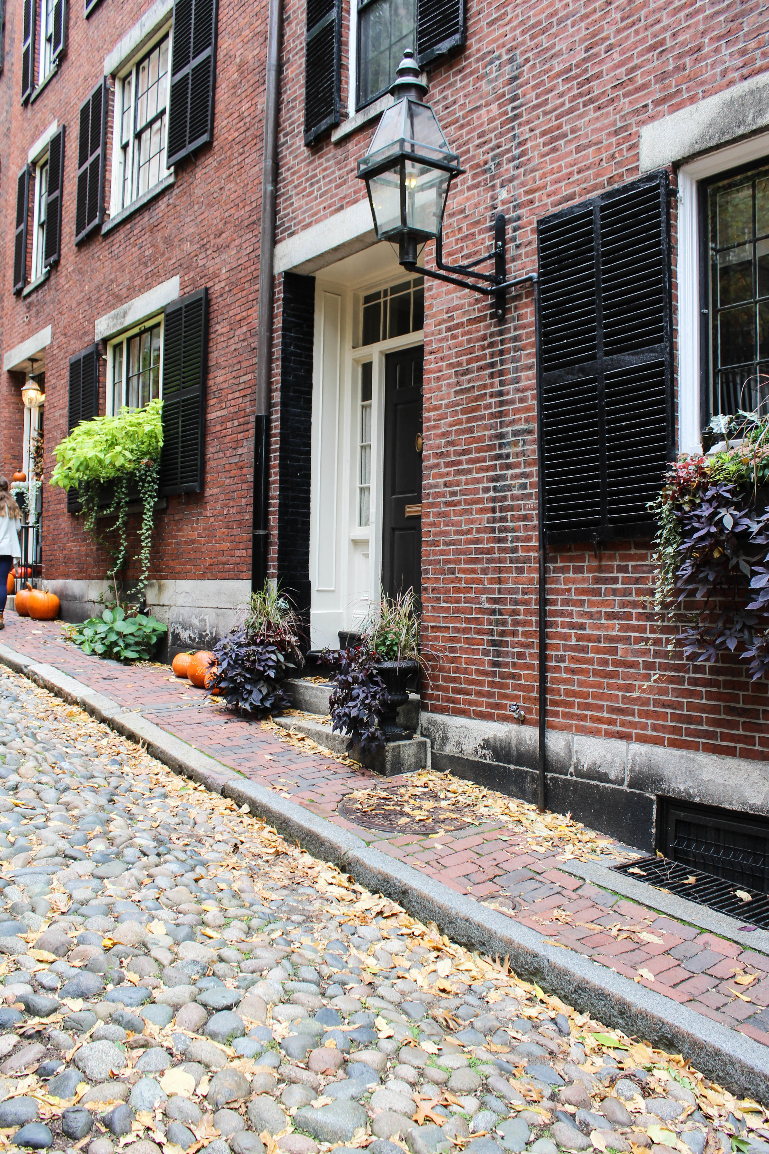 Acorn Street - Boston 6.0.jpg