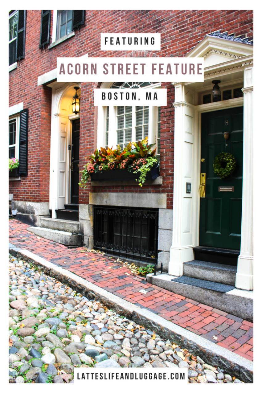Acorn Street Feature.png