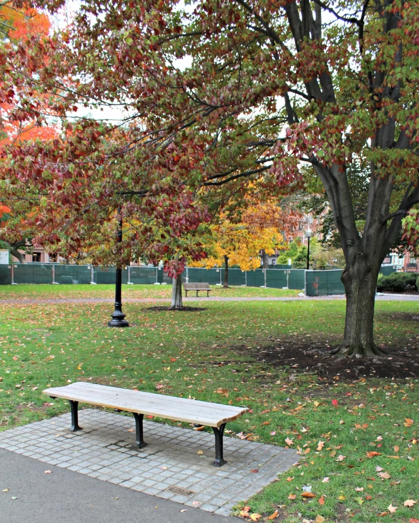 Boston Common 5.0.jpg