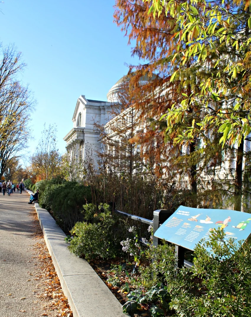 Museum - National Mall ed.jpg