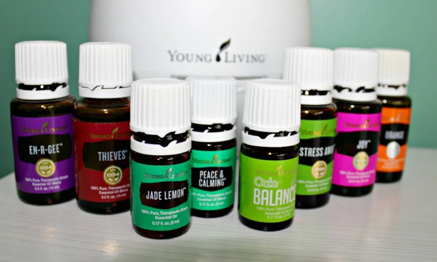 Office Must-Haves 4.0.jpg