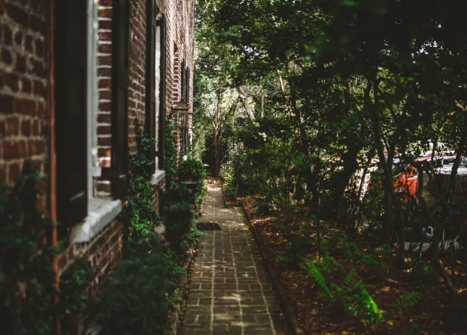 Photo by David Martin Jr. on Unsplash