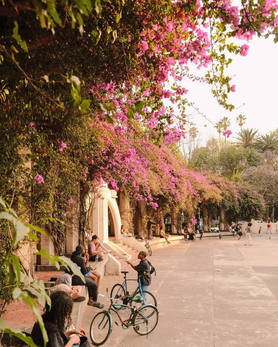 Fall is the season of crisp air, cozy charm, and quieter adventures. From Byron Bay&rsquo;s spring beaches to the Oregon Coast&rsquo;s peak whale watching, autumn invites us to slow down and savor nature&rsquo;s beauty. 

Cooler temps + thinner crowd