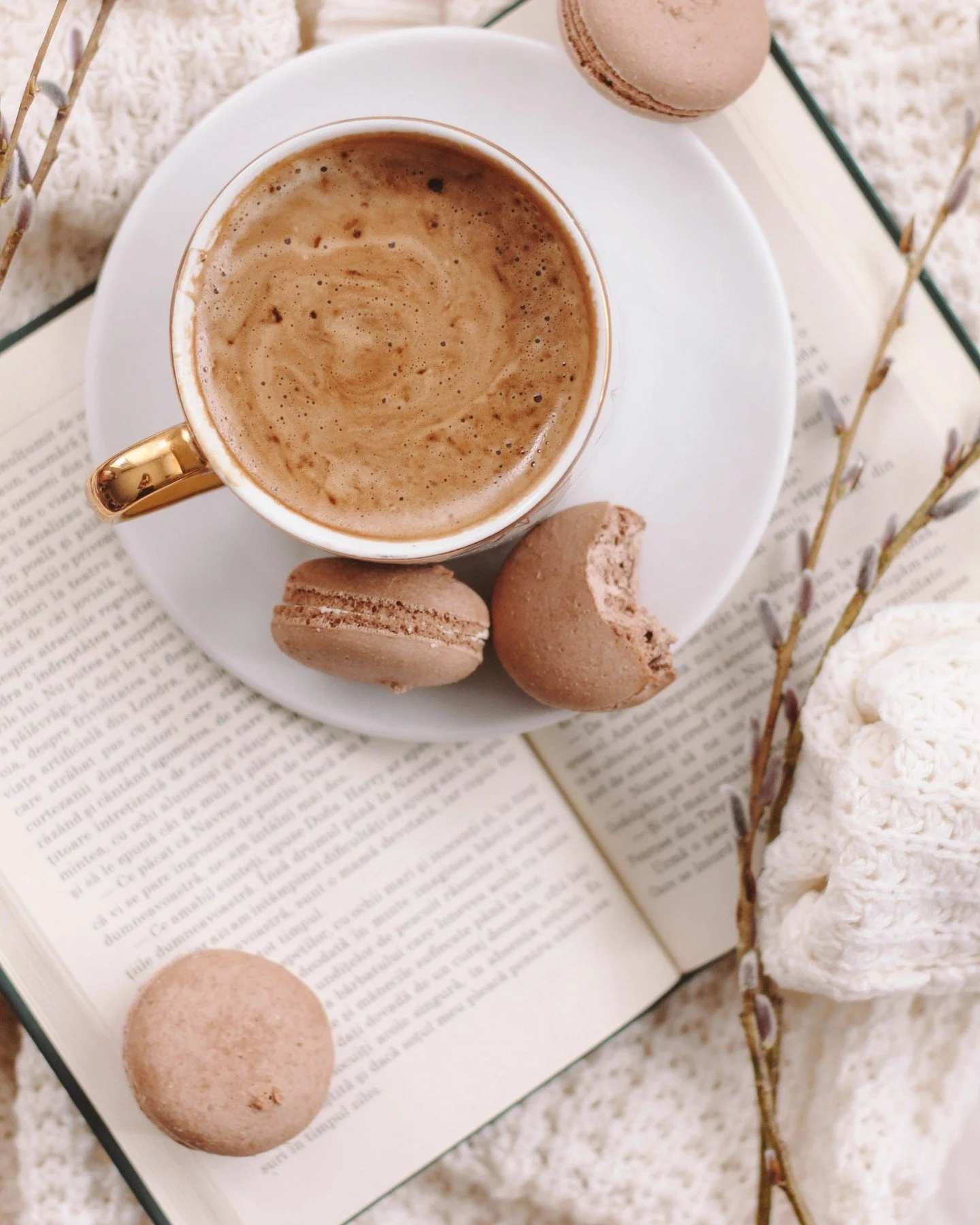 Some books are perfect for fall because they capture the essence of the season itself. 

Whether it is the crisp air and golden leaves of a Parisian morning or the quiet magic of a small-town garden, these stories transport you to worlds where slowin