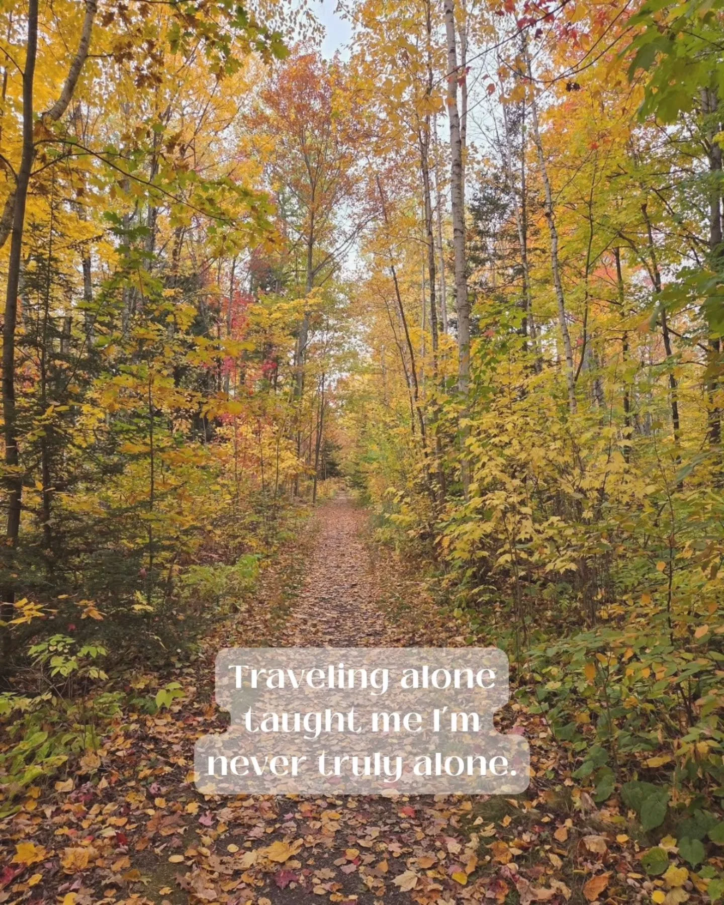 Solo travel has a way of showing you parts of yourself you didn&rsquo;t know were there. Your resilience, your curiosity, your ability to create comfort anywhere you go.

It&rsquo;s in the quiet dinners, the long walks, the conversations with strange