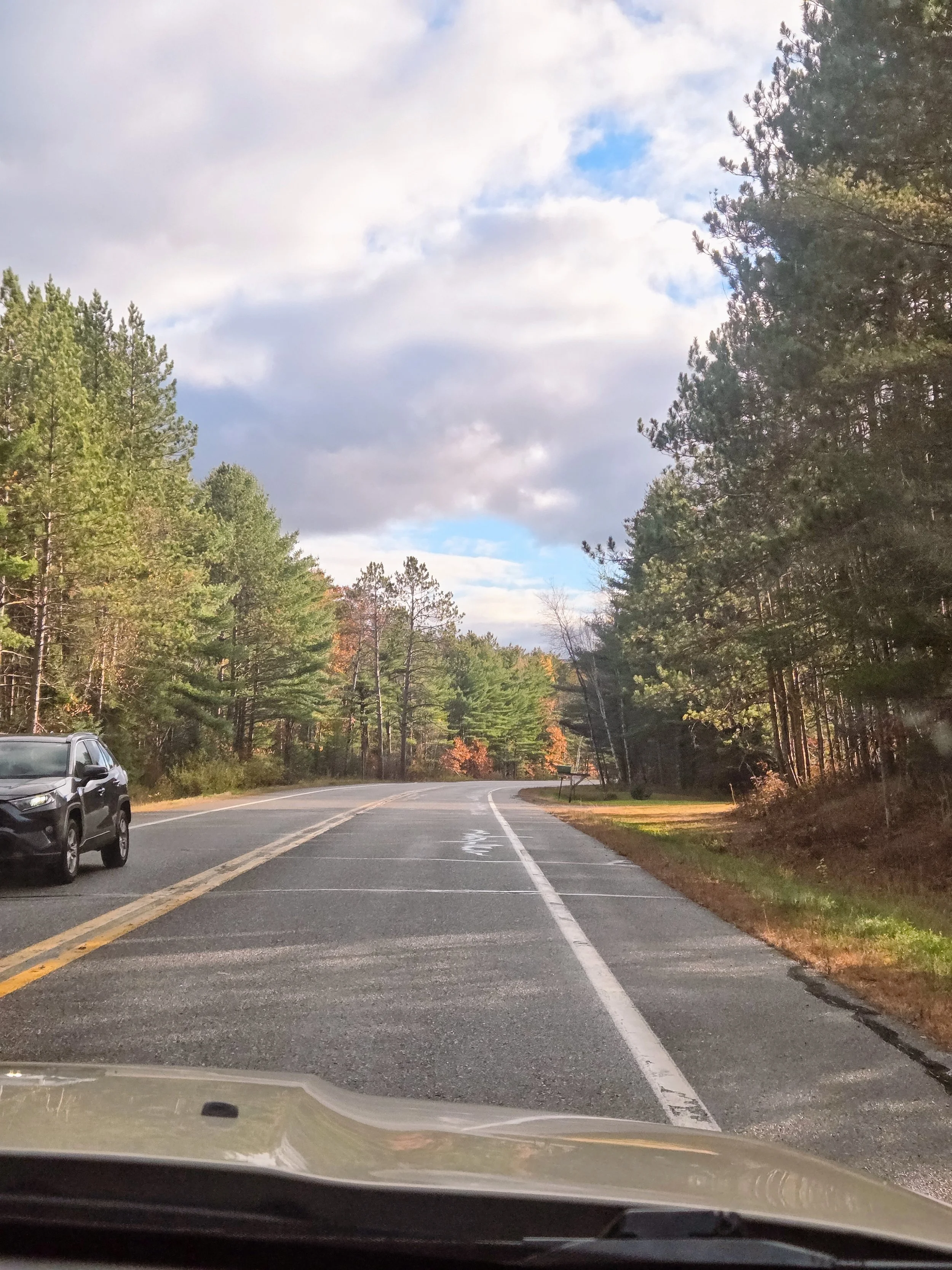 Rediscovering the Magic of Road Trips &amp; 2026 Travel Intentions