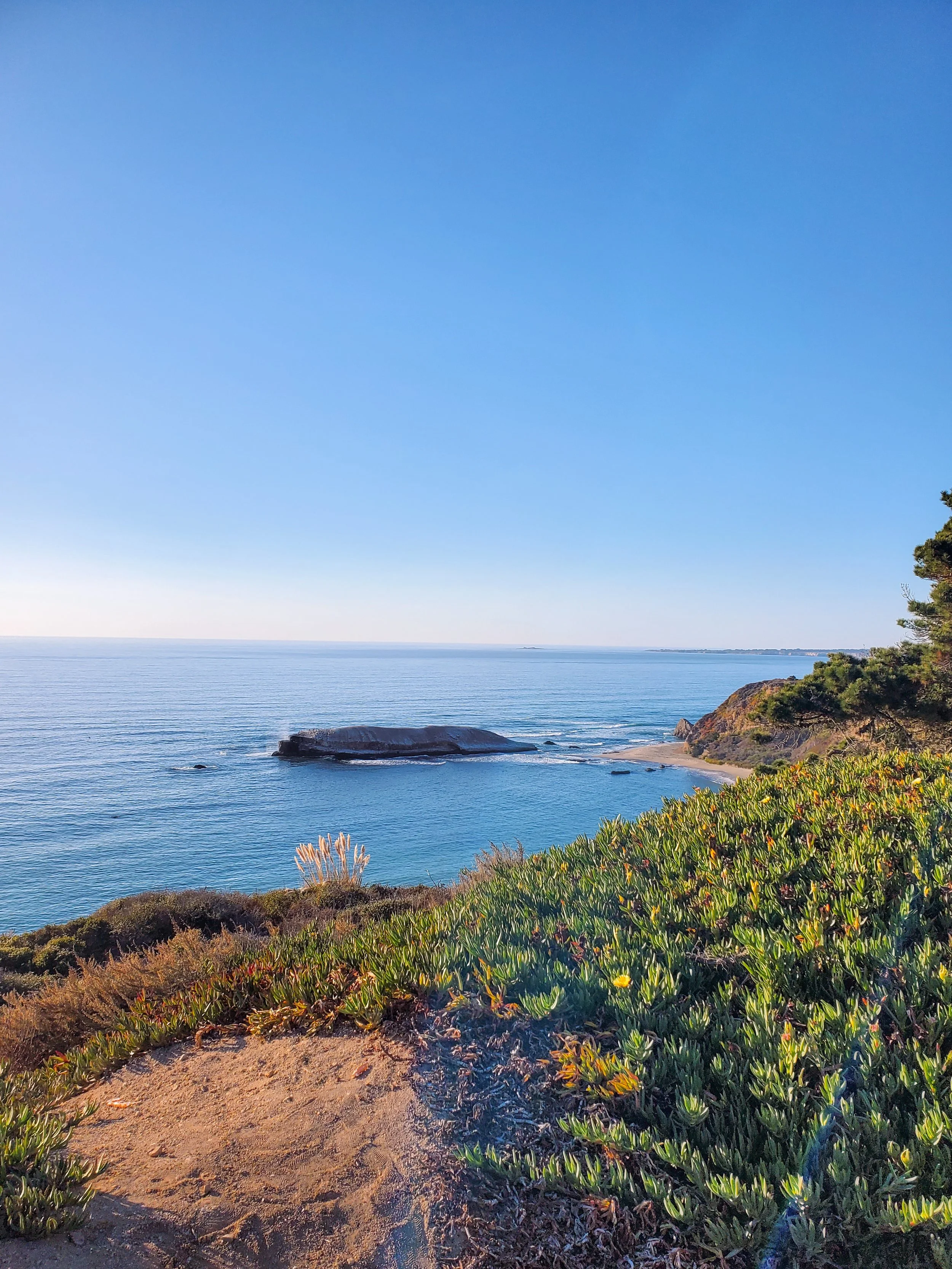 How a Trip to California Hit the Reset Button on Life