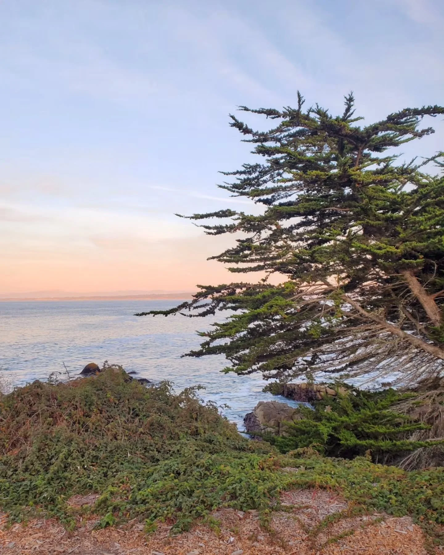 &ldquo;It felt impossible to take my eyes off the ocean.&rdquo;

There are moments in travel where the world asks us to slow down. Long drives, open water, and miles of coastline have a way of quieting the noise and reminding us how a grounding prese