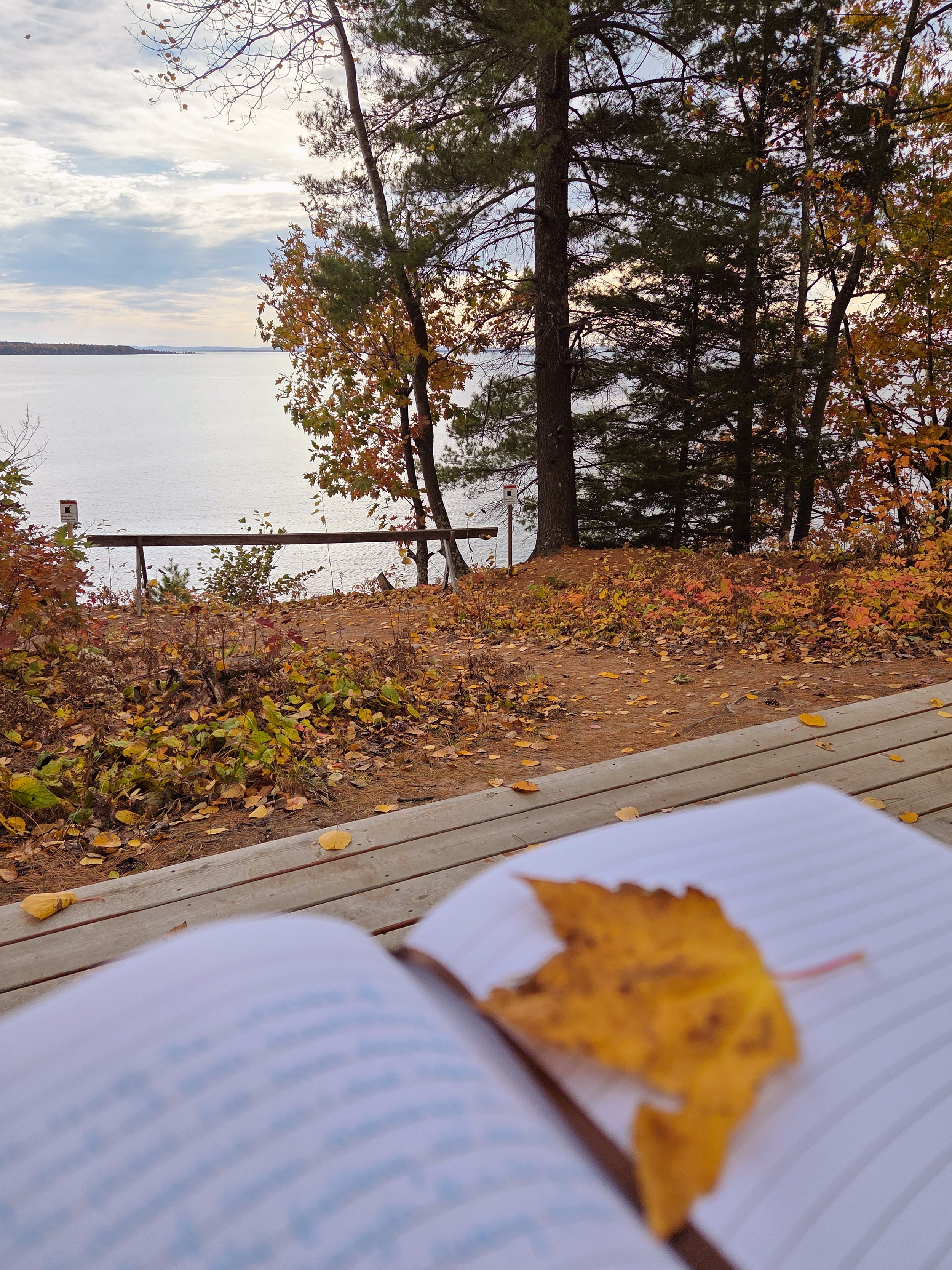 The Secret Truth of Slowing Down