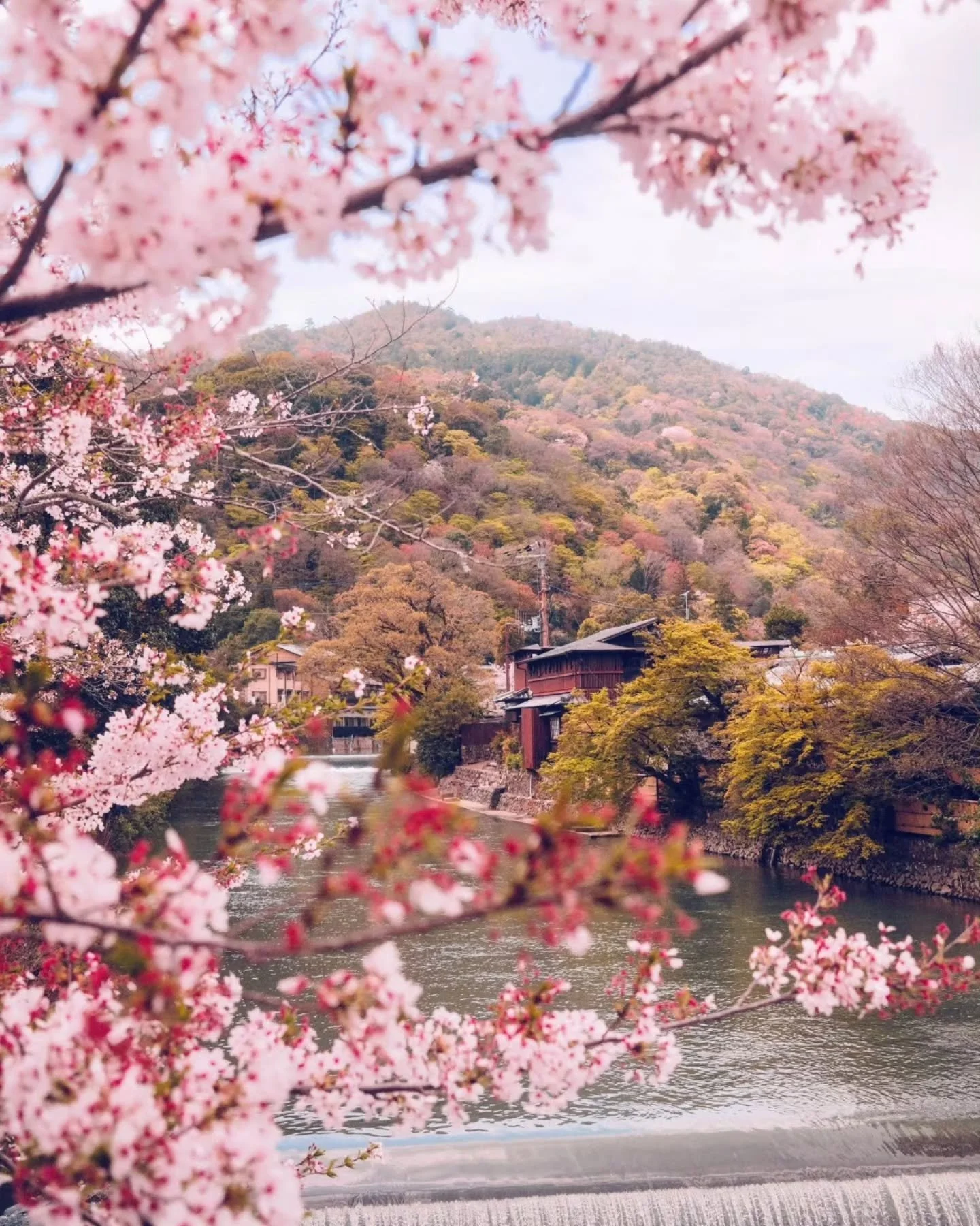 Spring in Kyoto isn&rsquo;t something you rush through☀️

The city invites you to walk slower, to notice the way cherry blossoms soften ancient temples, and to let yourself linger in quiet gardens a little longer than planned.

Petals drift through t