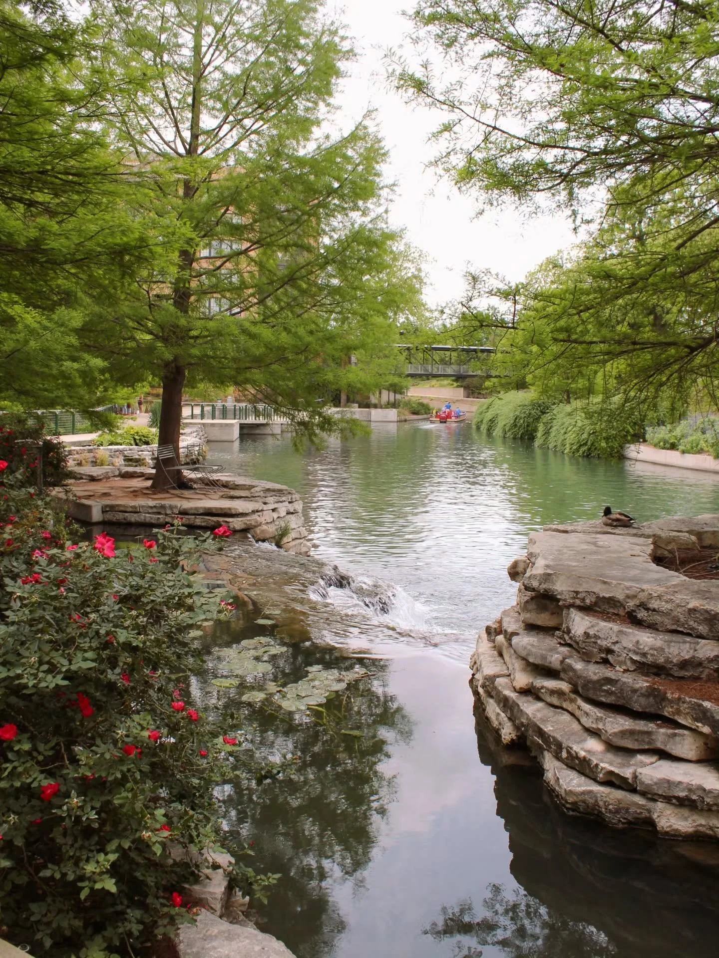 Spring break may be over for the kids, but the season is just getting started.

Whether you're looking for a relaxing tropical escape, or want something city-adjacent, we've got the ultimate list of destinations for a grown-up spring break to hold yo